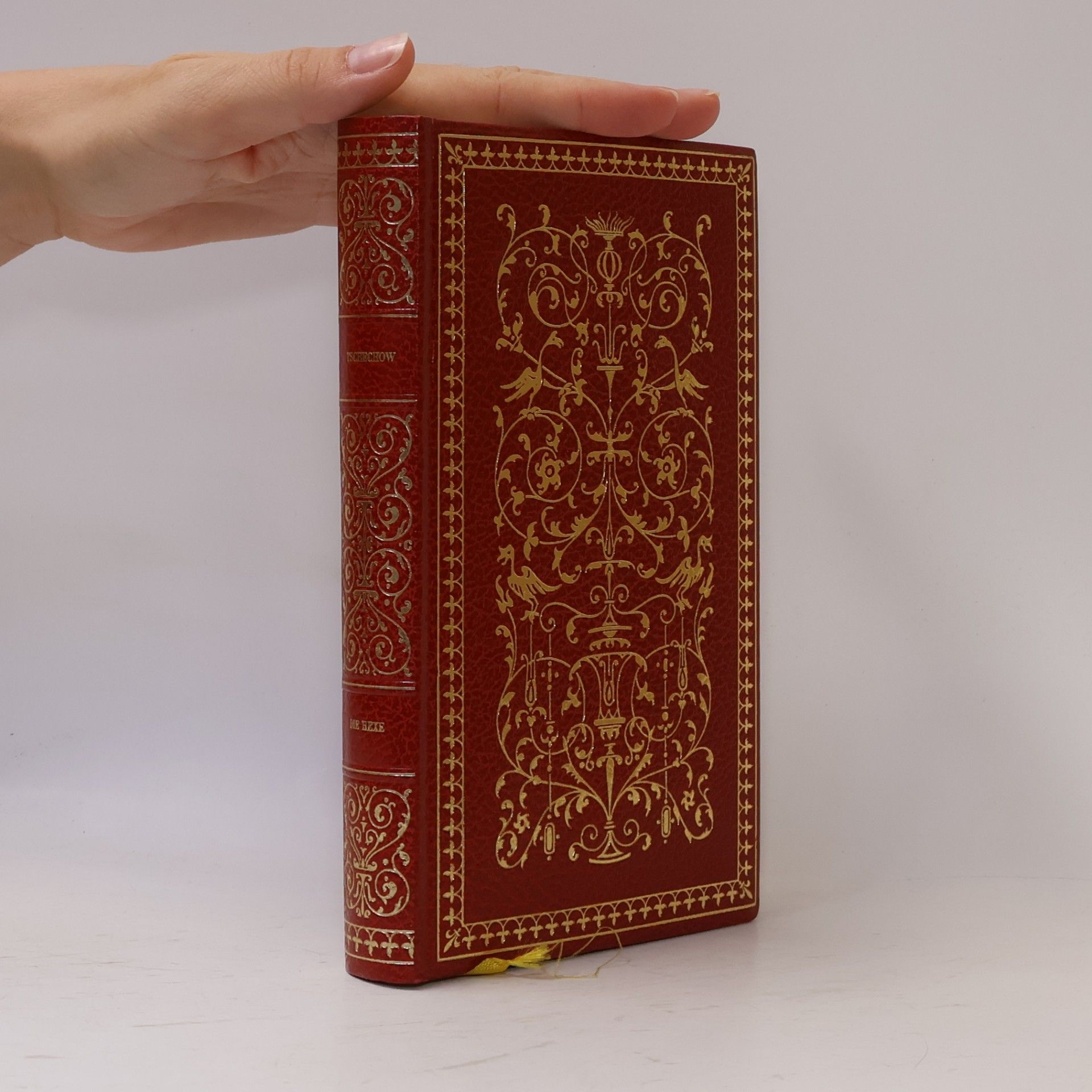Anton Chekhov Die Hexe