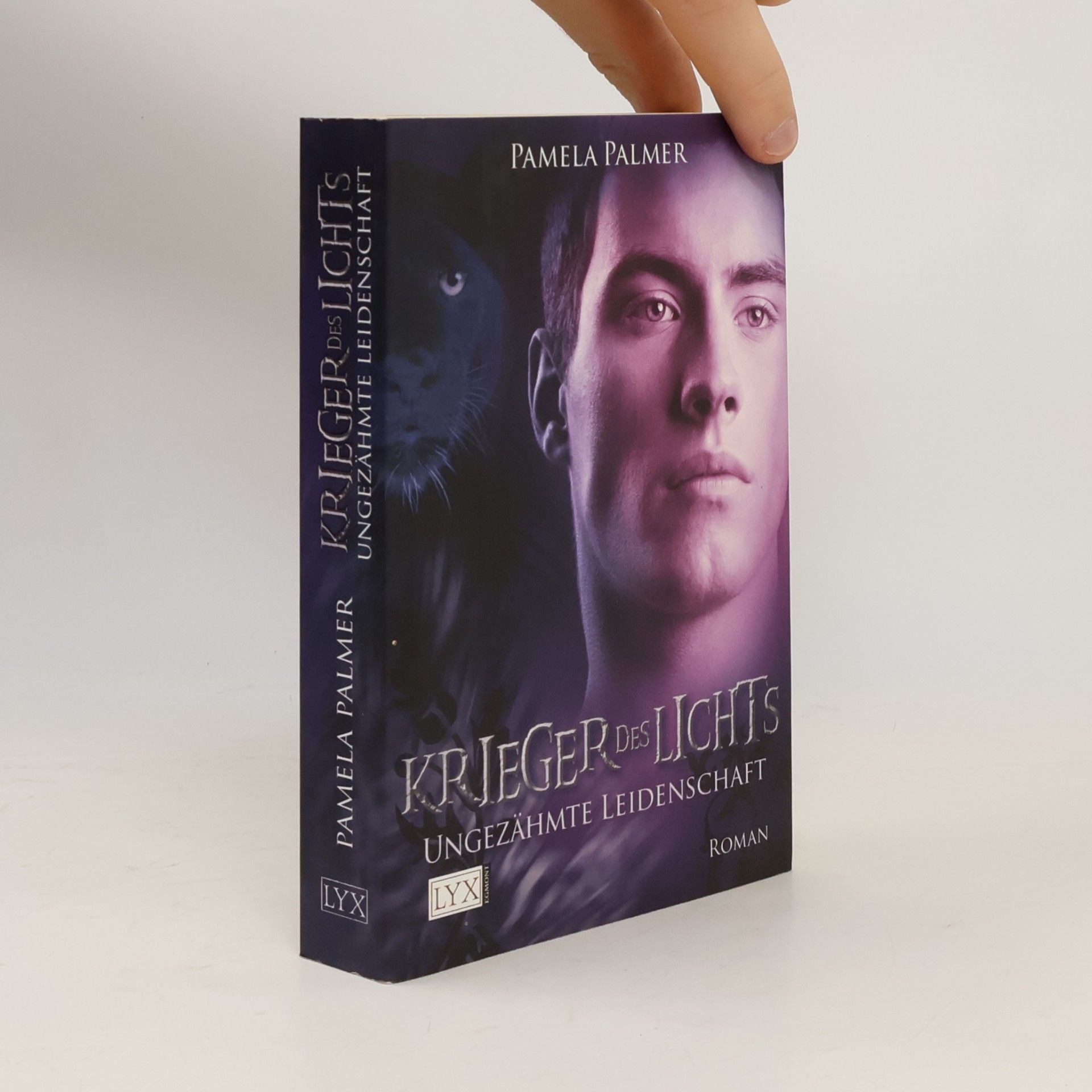 Pamela Palmer Krieger des Lichts 3