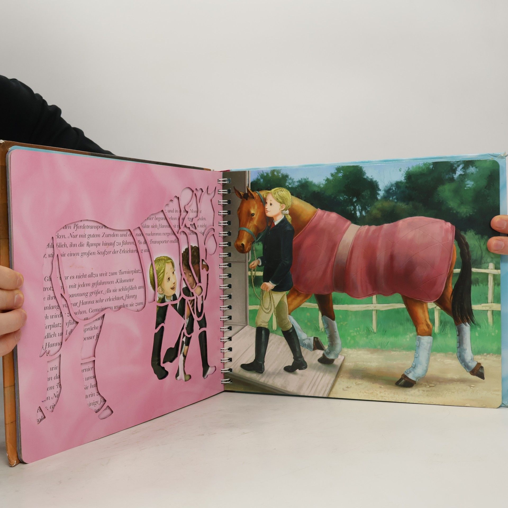 Kolektiv autorů Das große Pferde Schablonenbuch