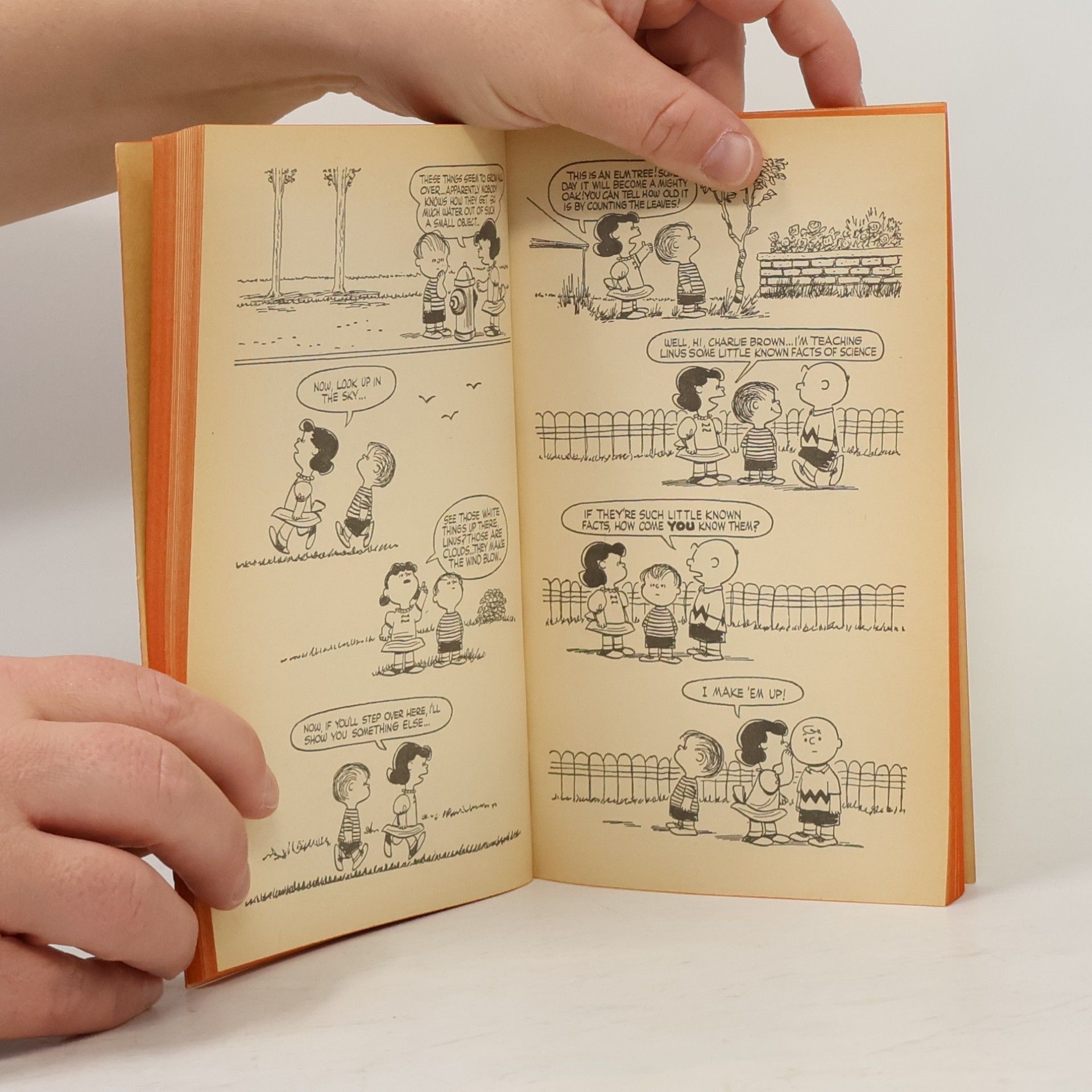 Charles M. Schulz What Next, Charlie Brown?