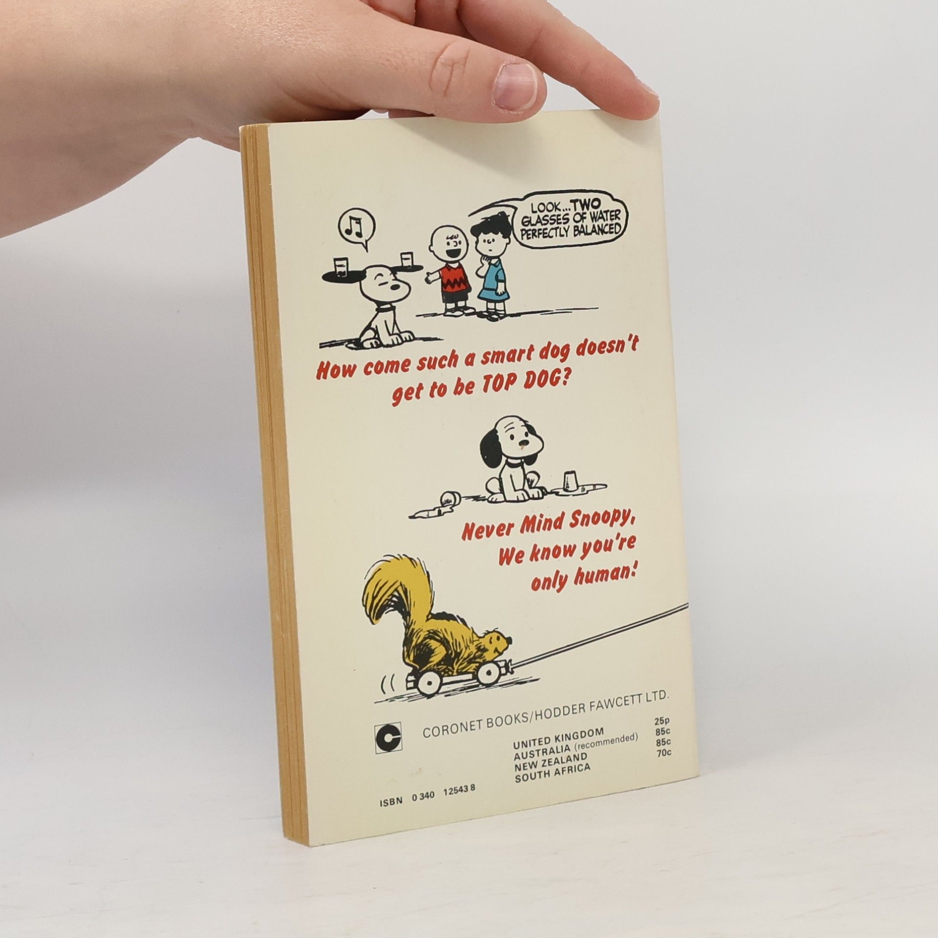 Charles Shulz The Wonderful World of Peanuts