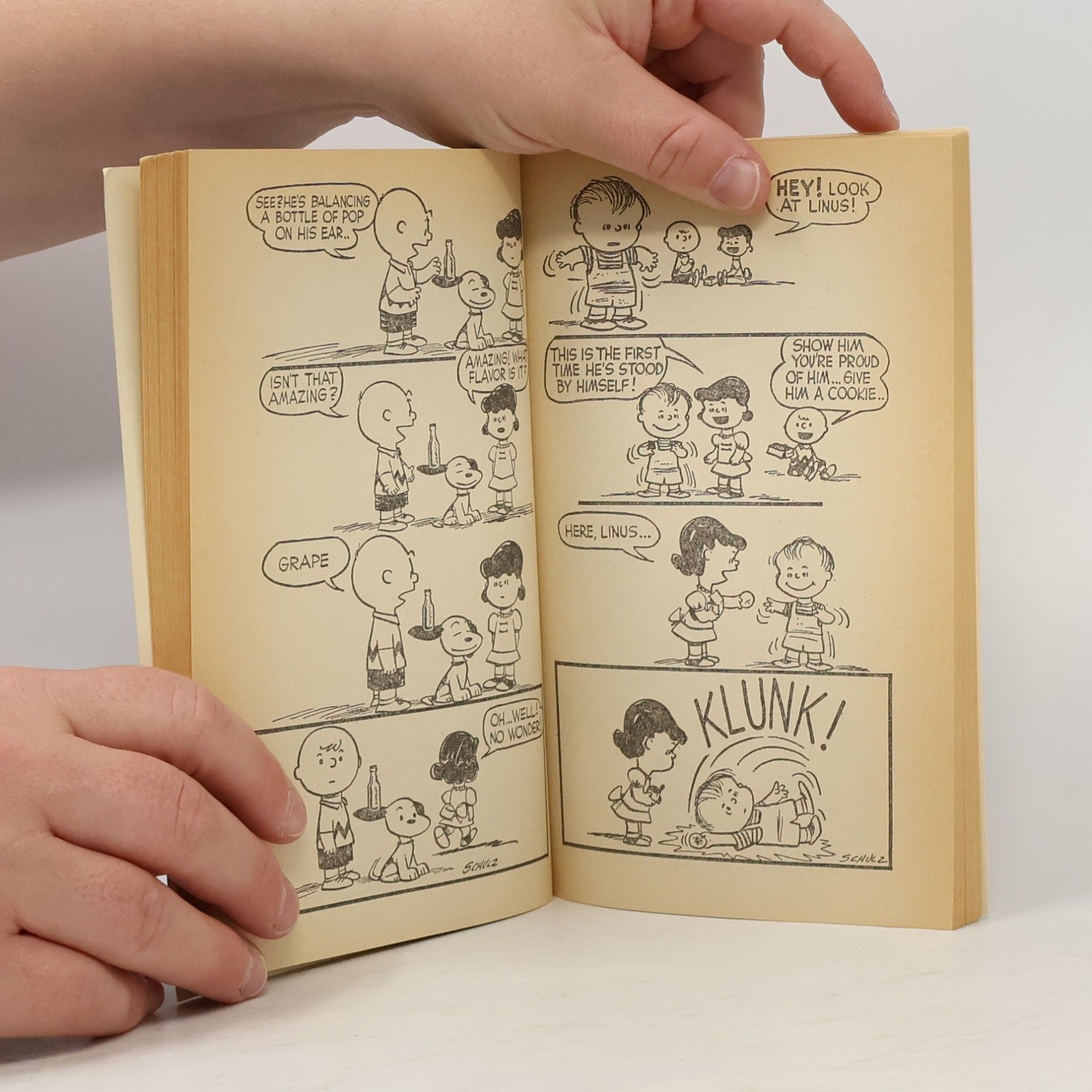Charles Shulz The Wonderful World of Peanuts