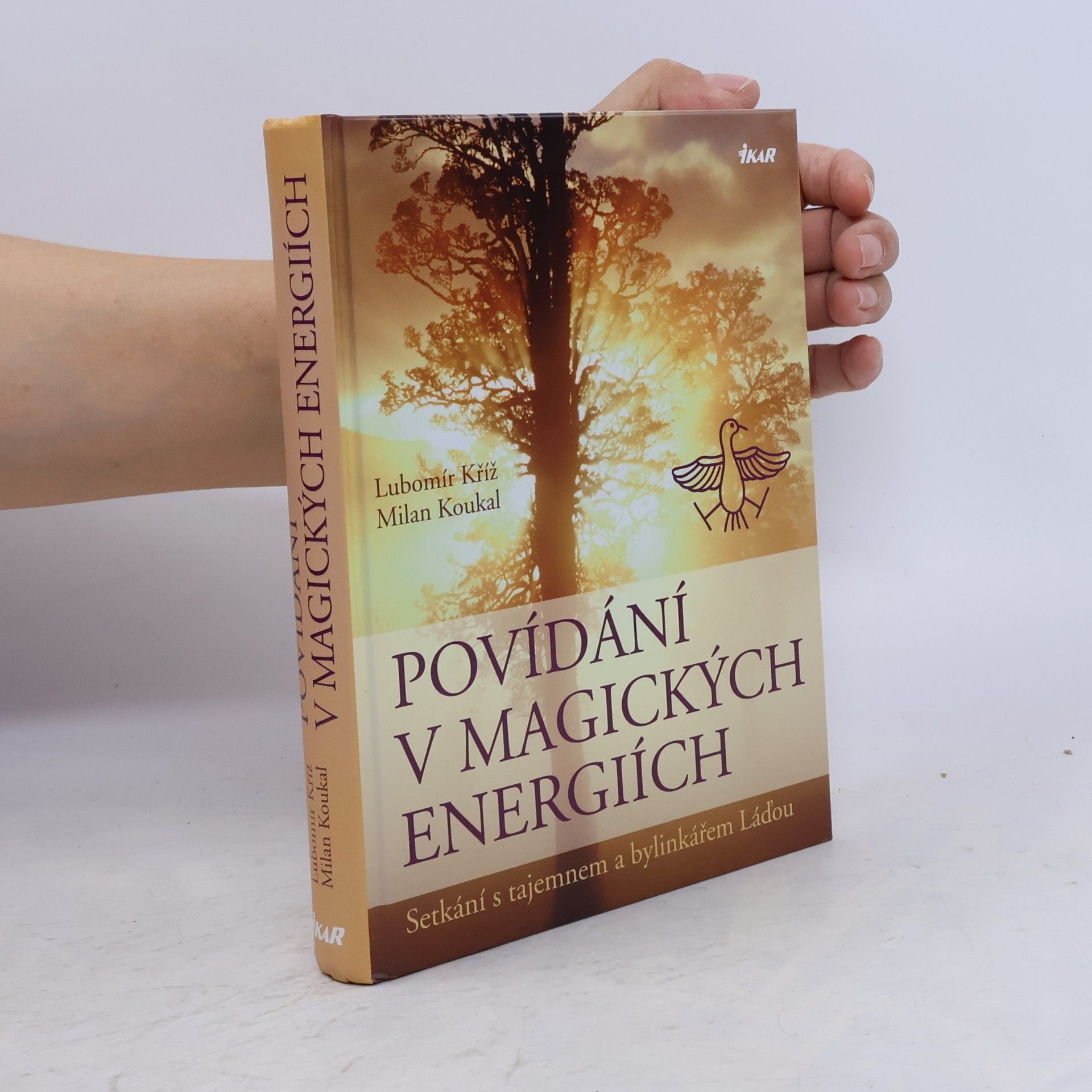 Lubomír Kříž Povídání v magických energiích