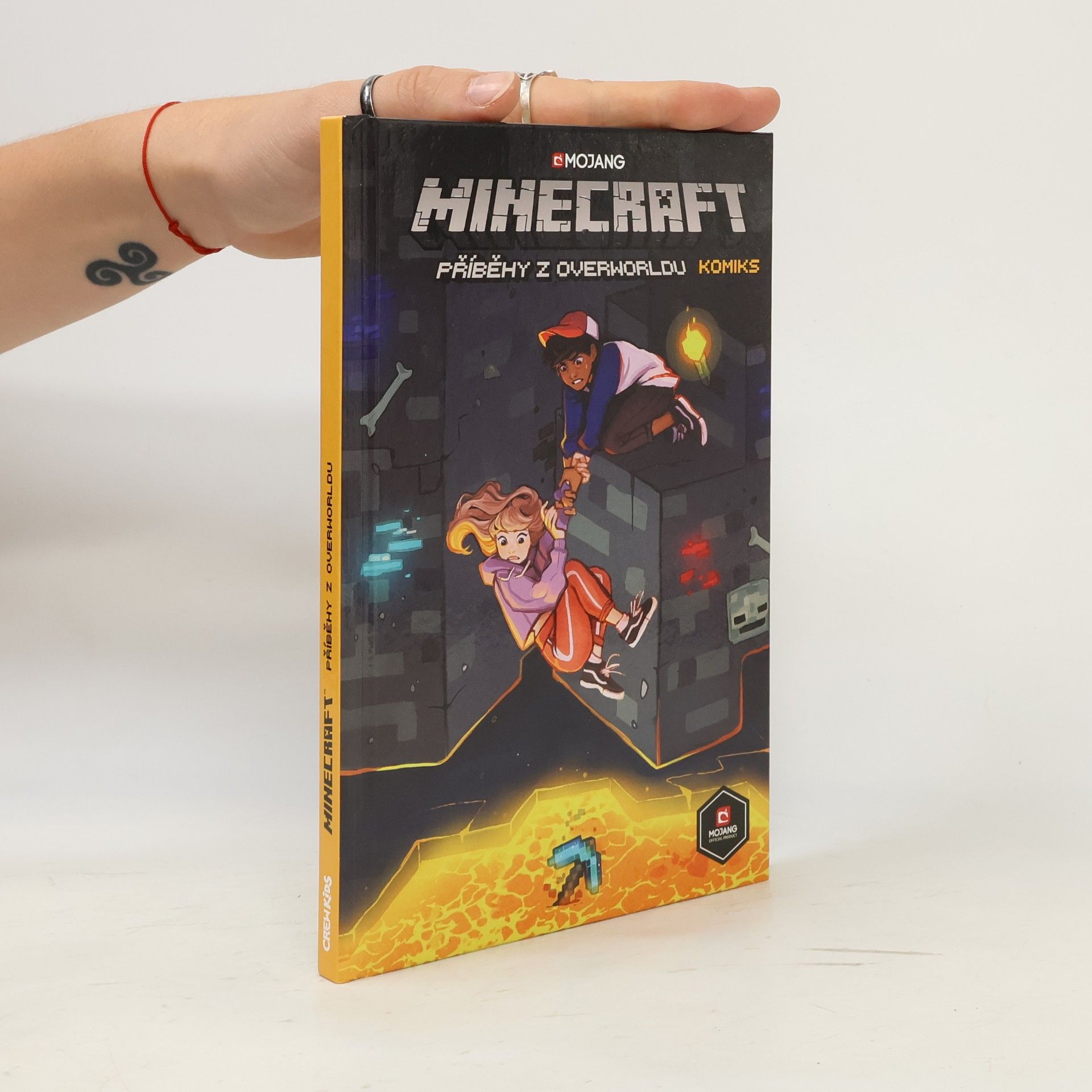 Ian Flynn Minecraft. Příběhy z Overworldu