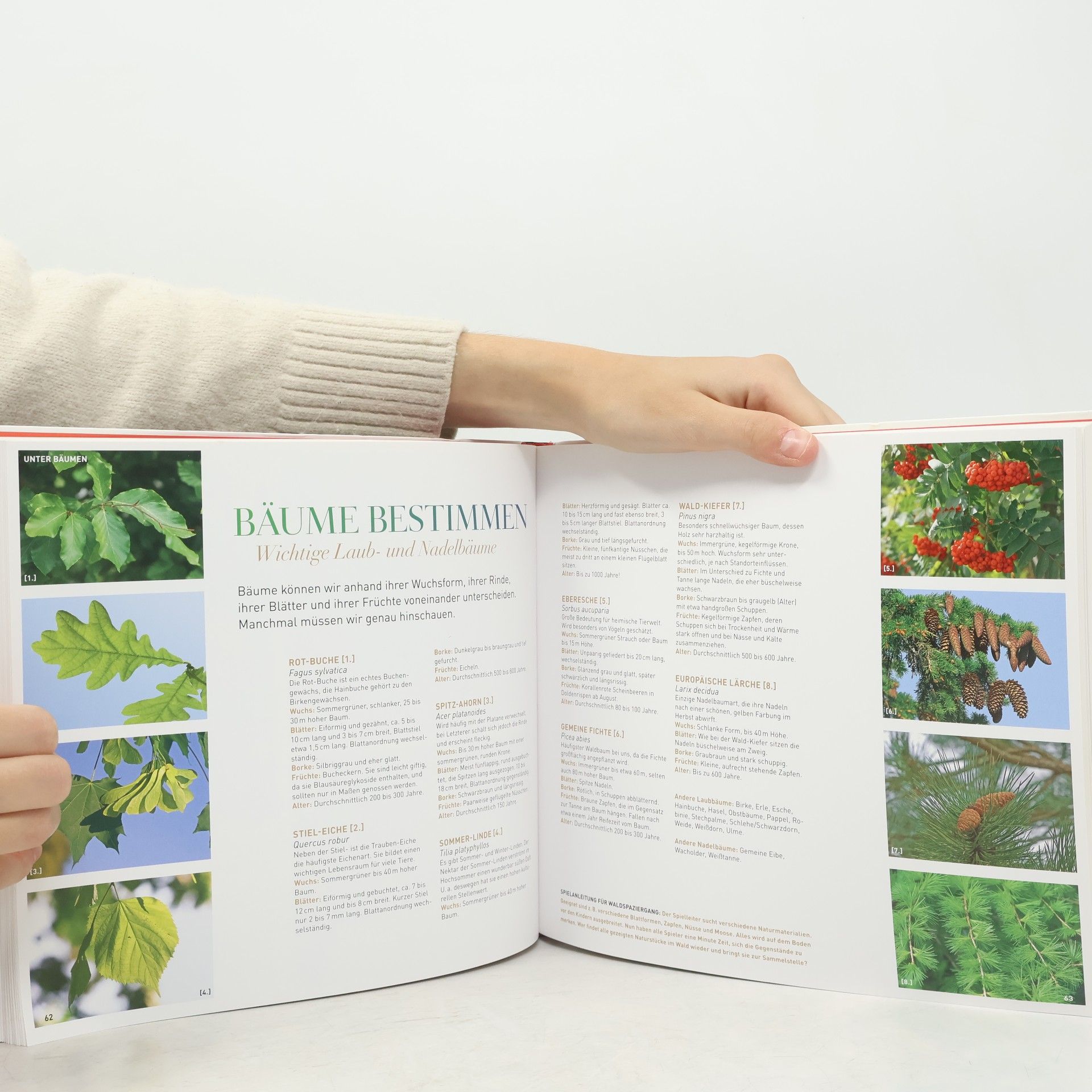 Katja Maren Thiel Natur & Kinder