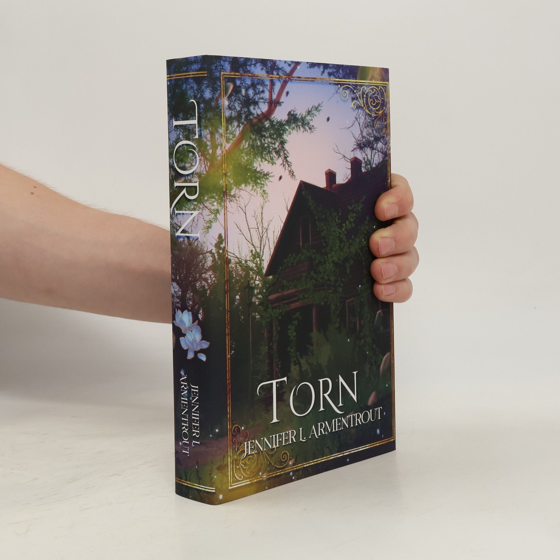 Jennifer Armentrout Torn