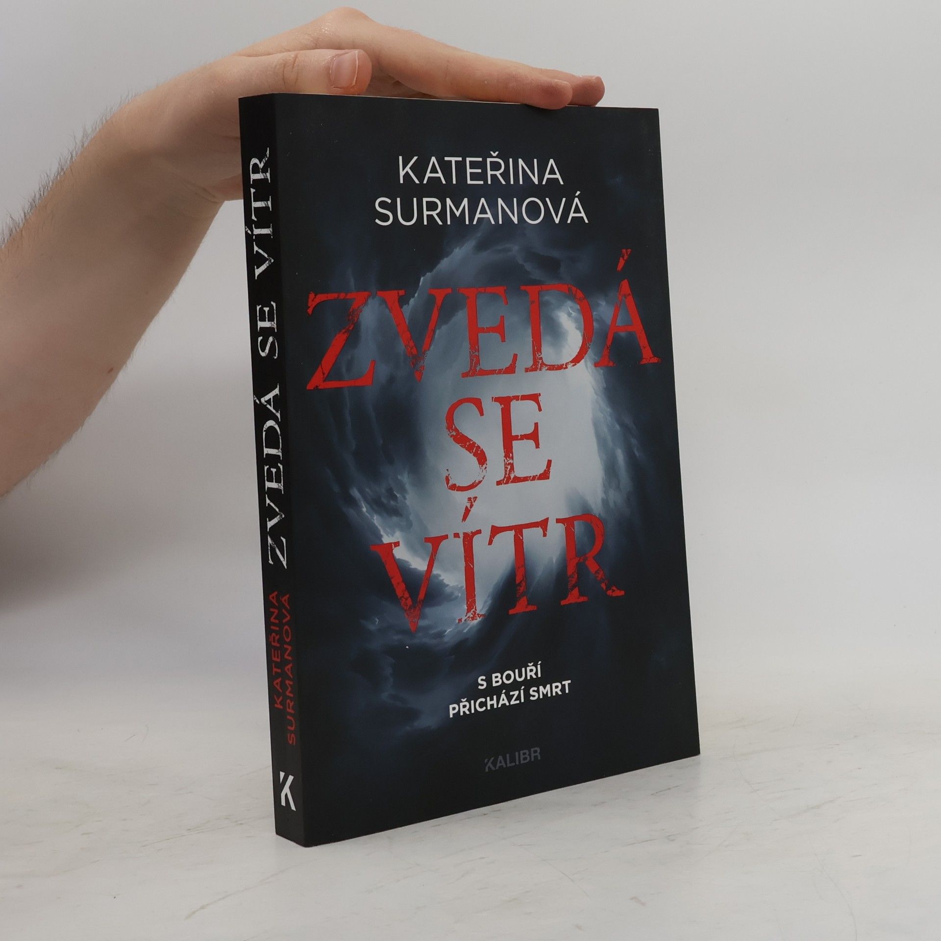 Kateřina Surmanová Zvedá se vítr