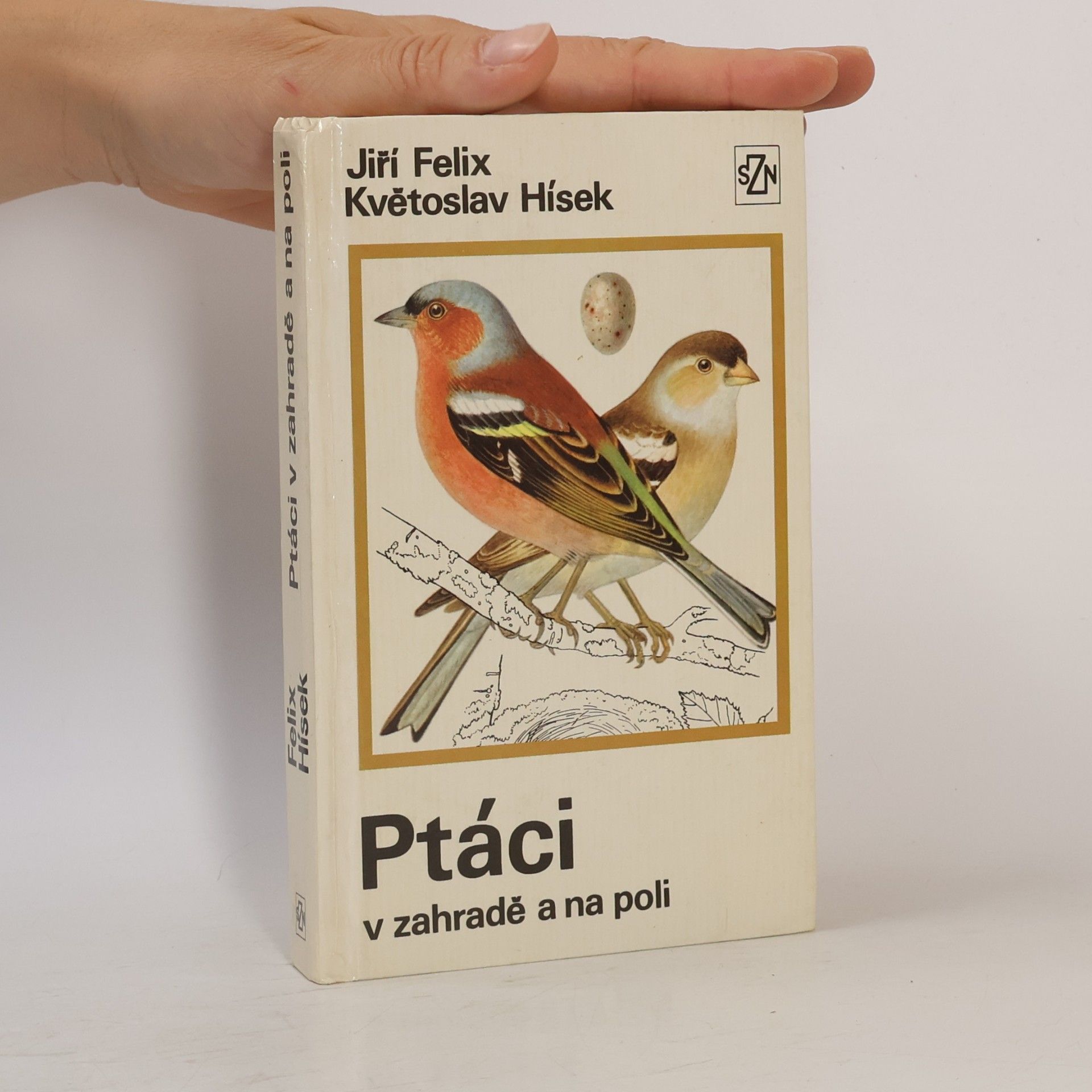 Ptáci v zahradě a na poli