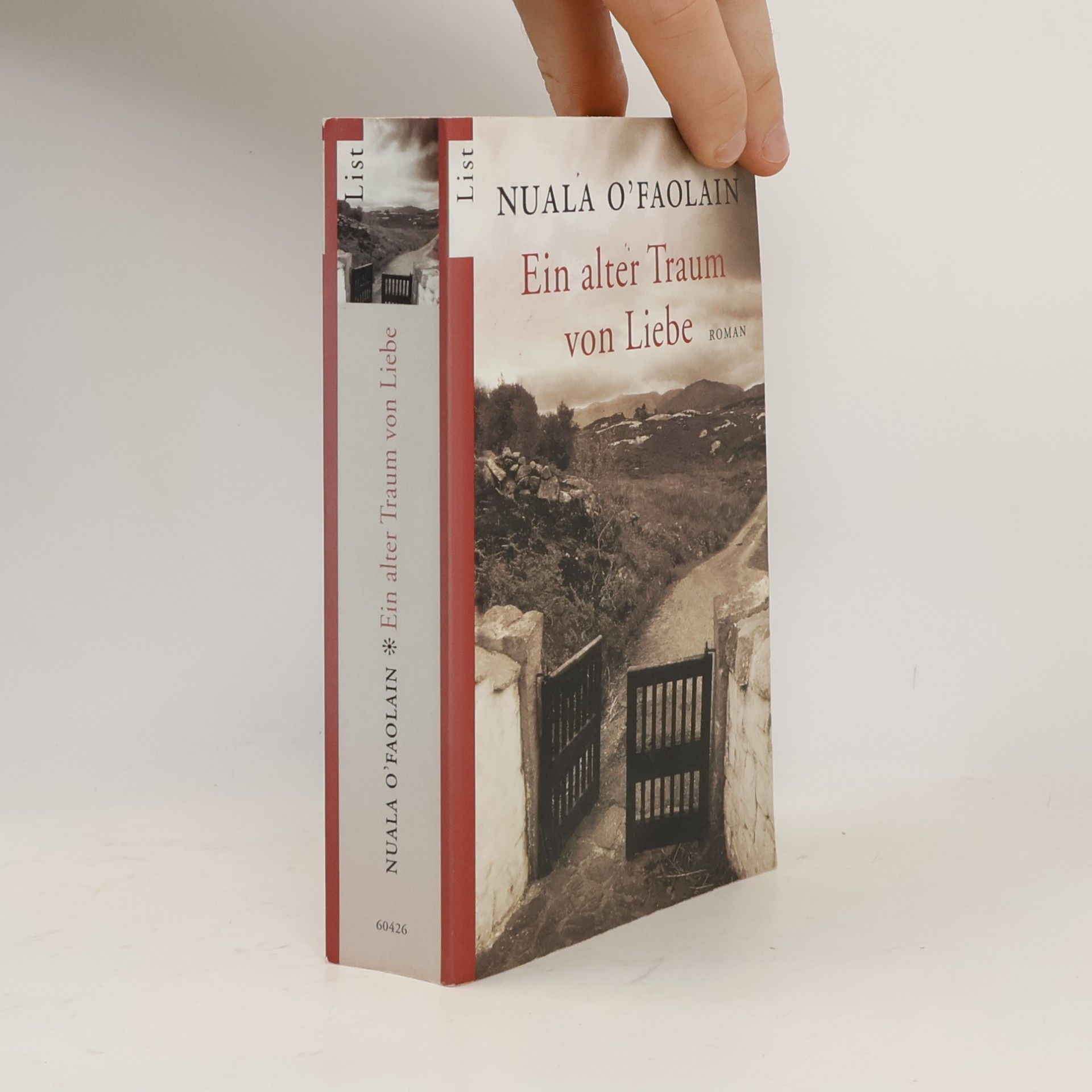 Nuala O. Faolain Ein alter Traum von Liebe