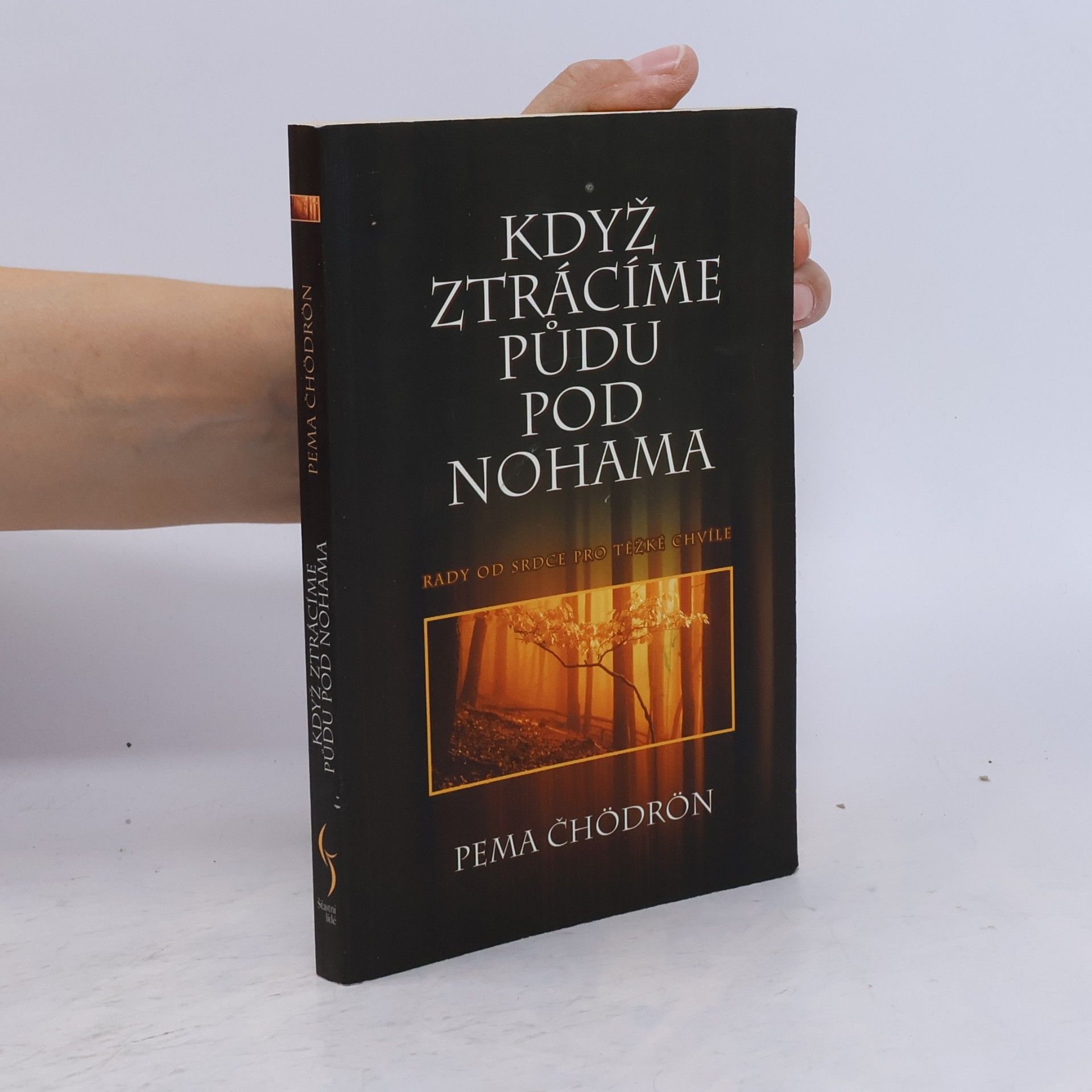Adam Pulchart Když ztrácíme půdu pod nohama: Rady od srdce pro těžší chvíle