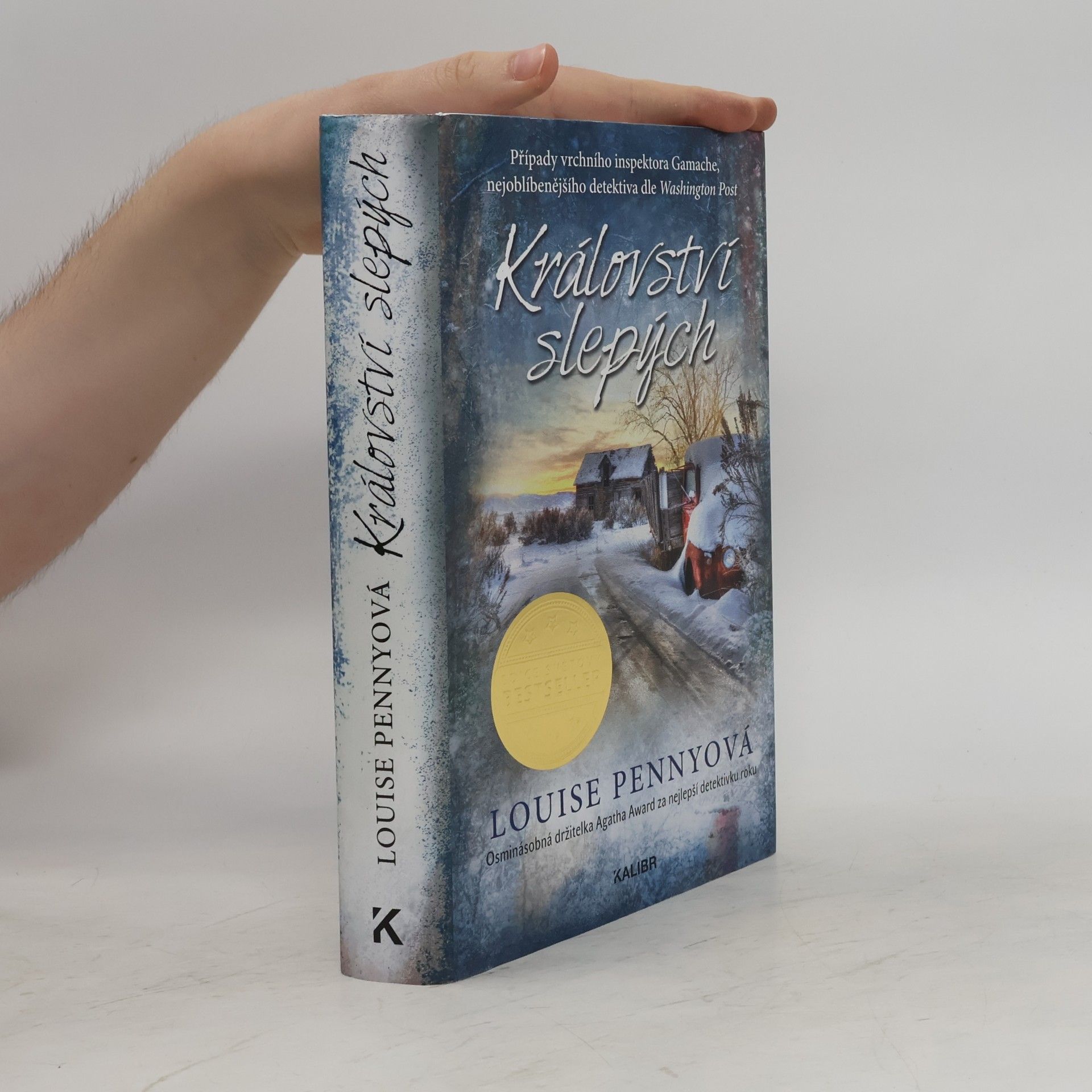 Louise Penny Království slepých