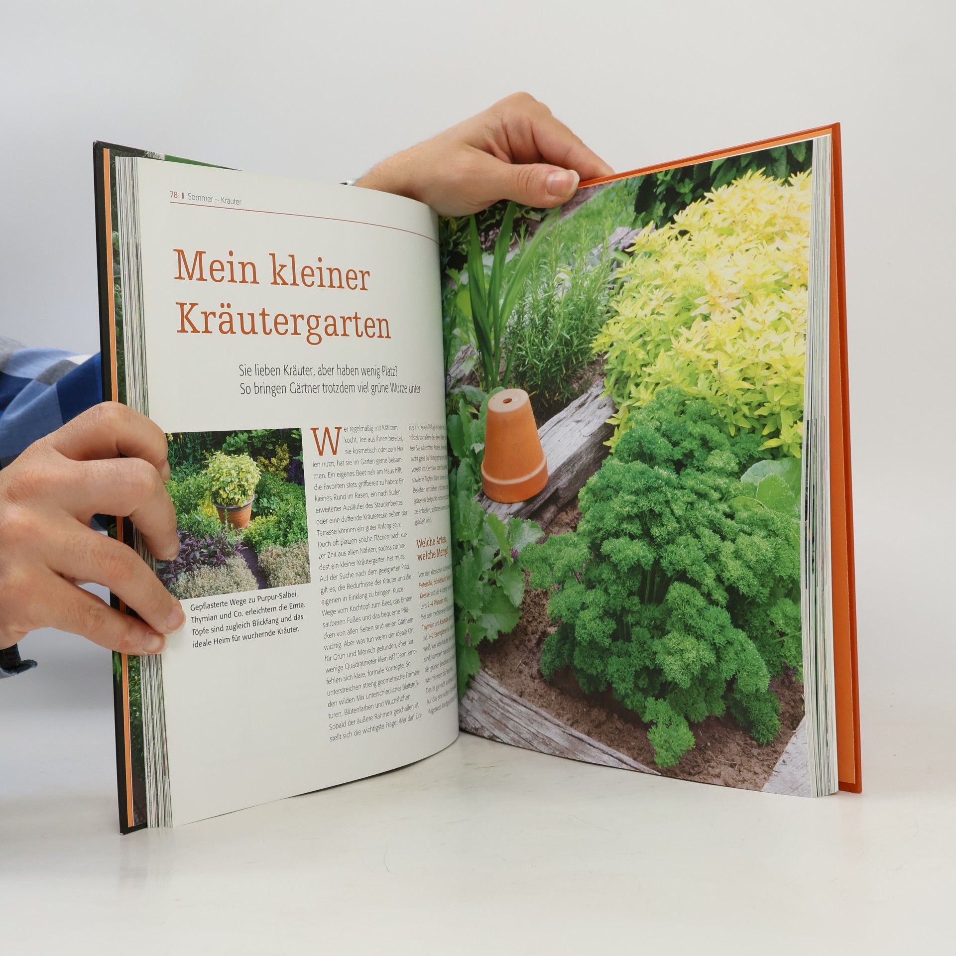 Katharina Bodenstein Das Jahreszeiten-Gartenbuch