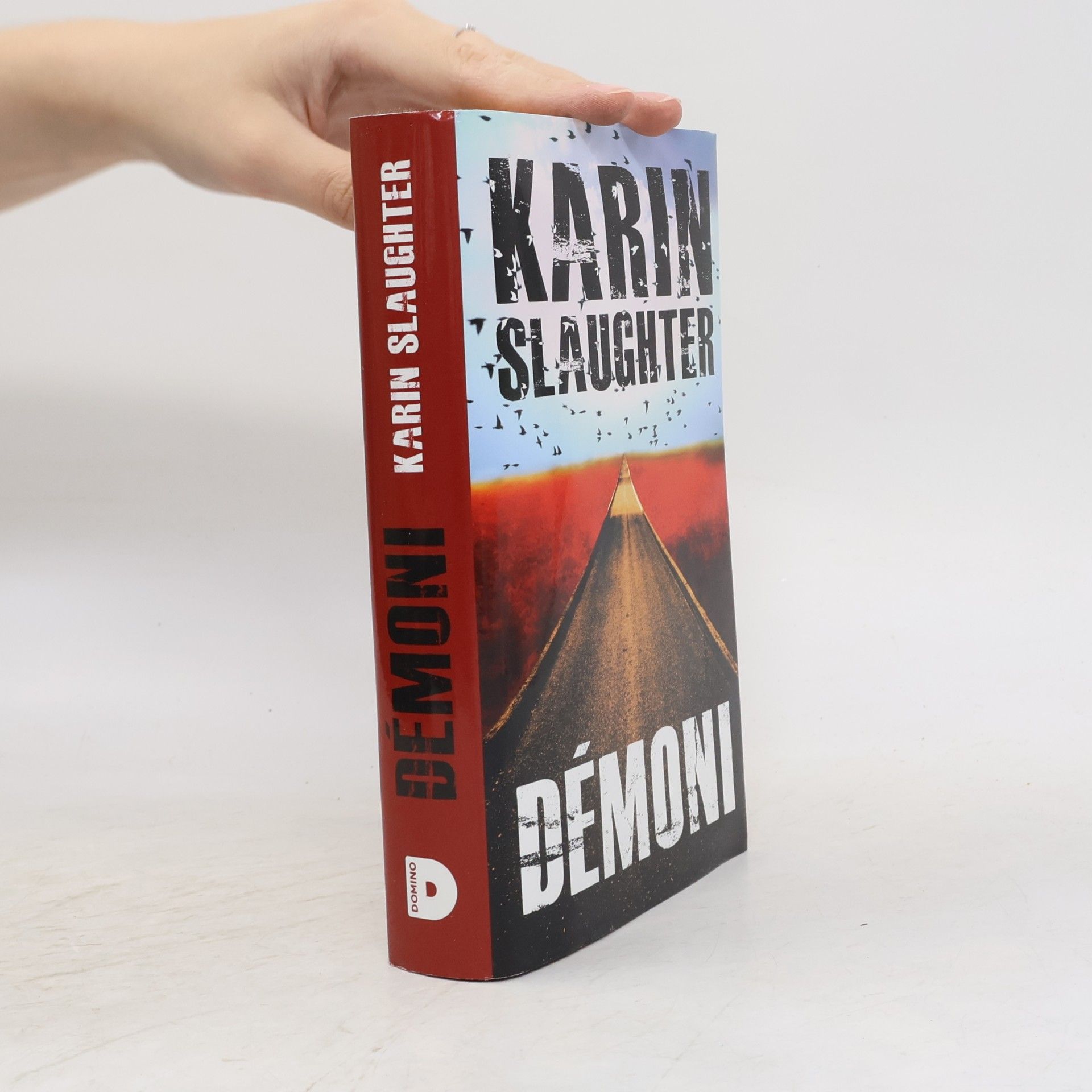 Karin Slaughter Démoni