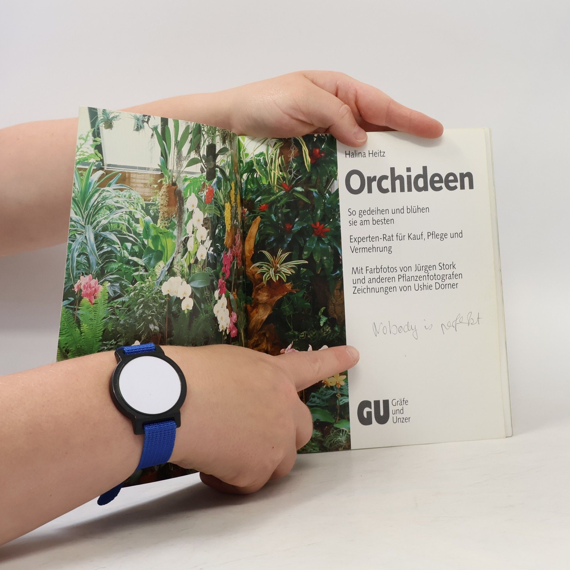 Halina Heitz Orchideen