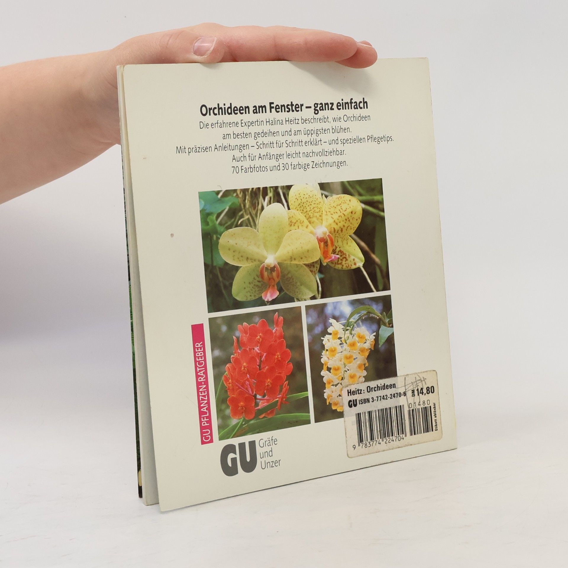 Halina Heitz Orchideen