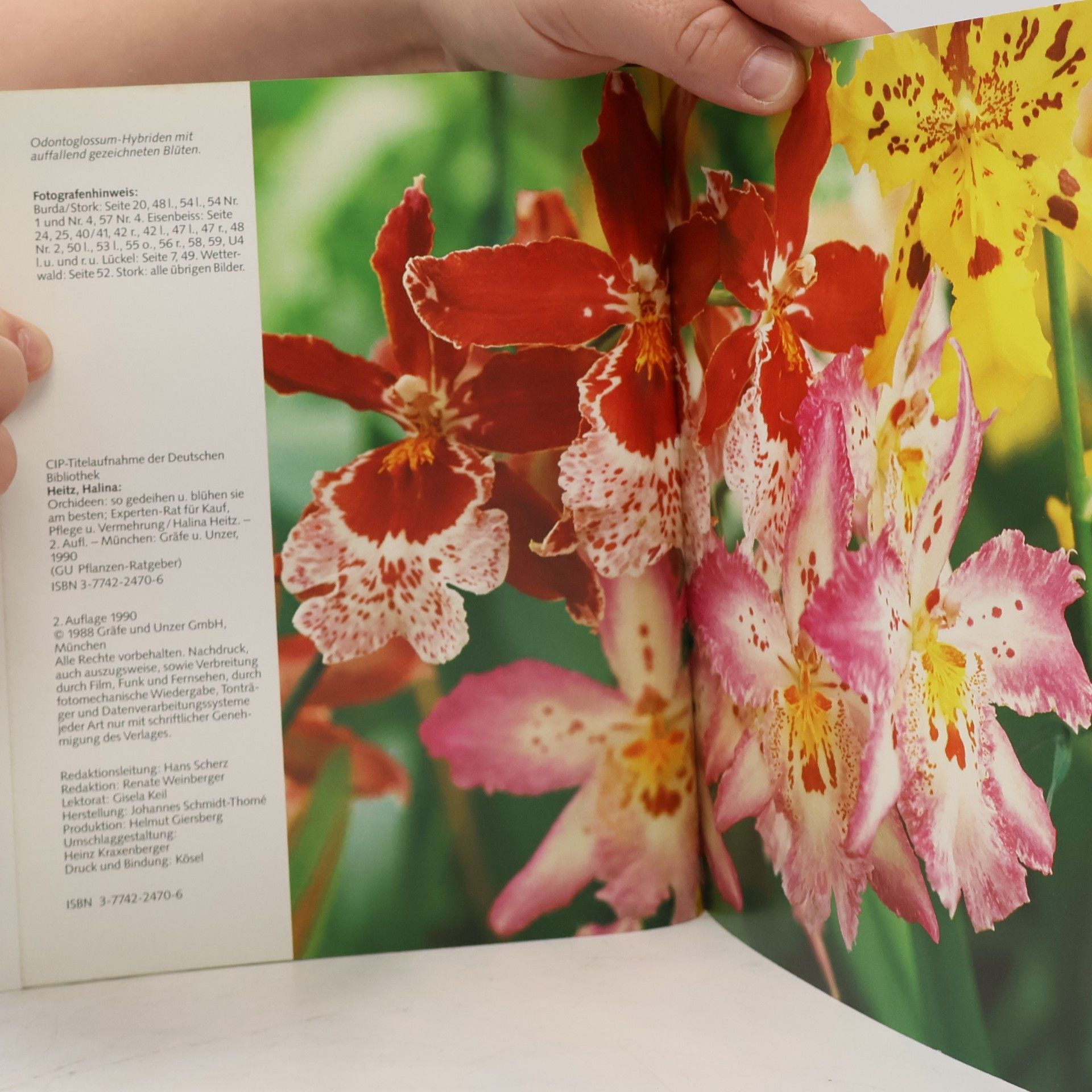Halina Heitz Orchideen