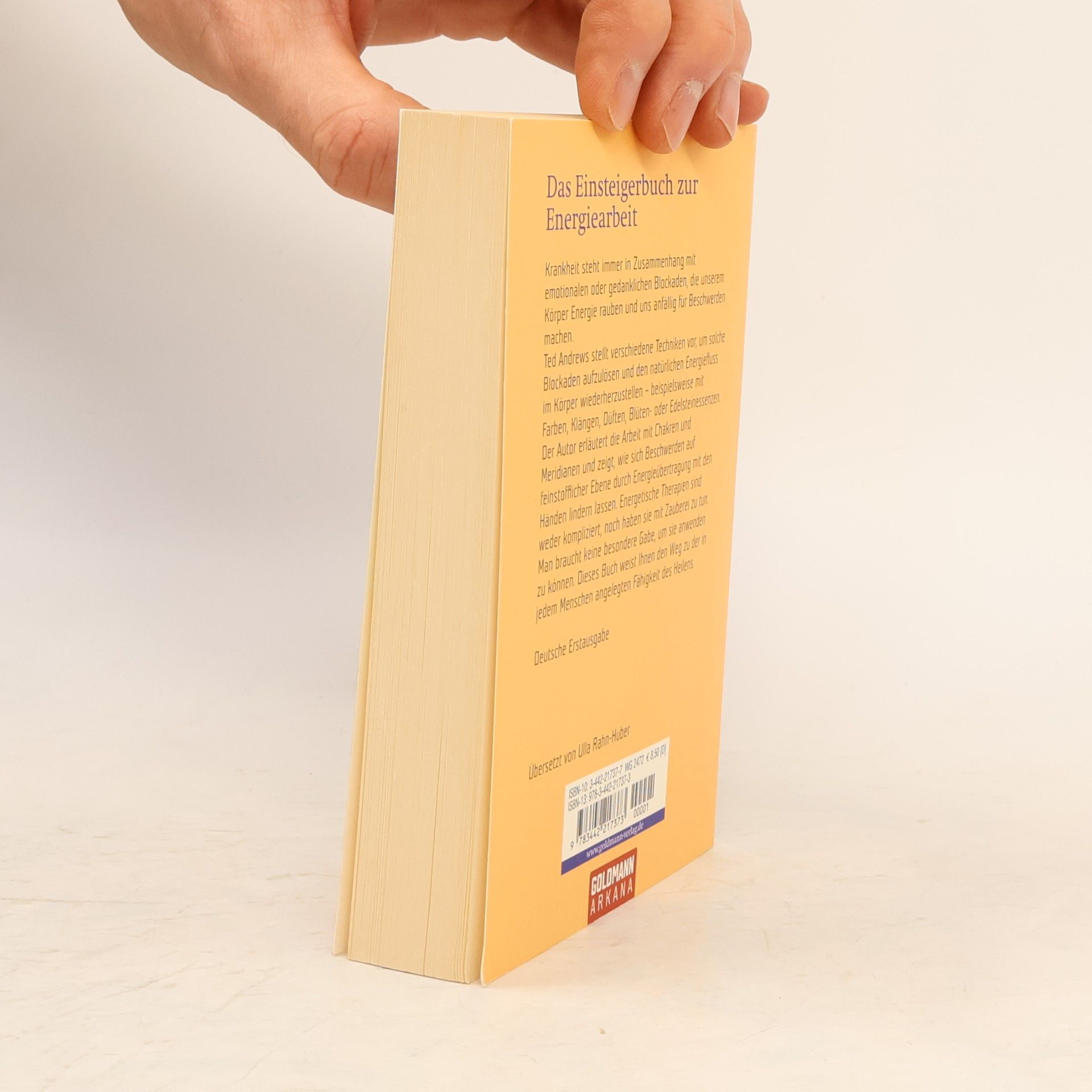 Ted Andrews Kleines Lehrbuch für Heiler