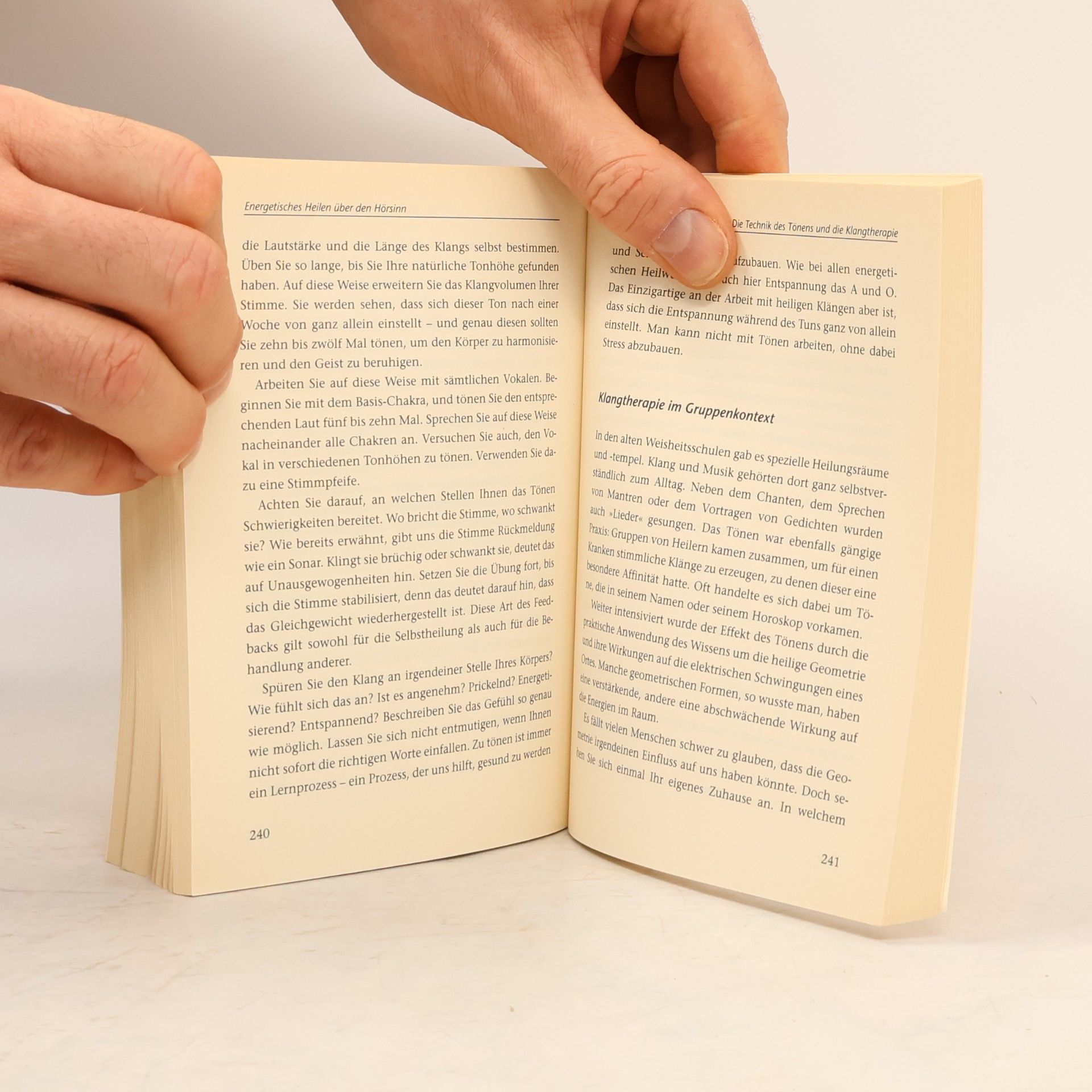 Ted Andrews Kleines Lehrbuch für Heiler