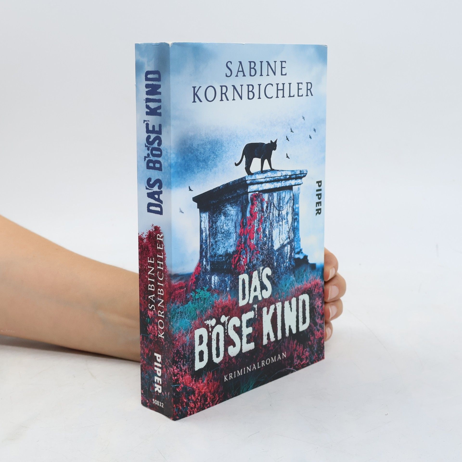 Sabine Kornbichler Das Böse Kind