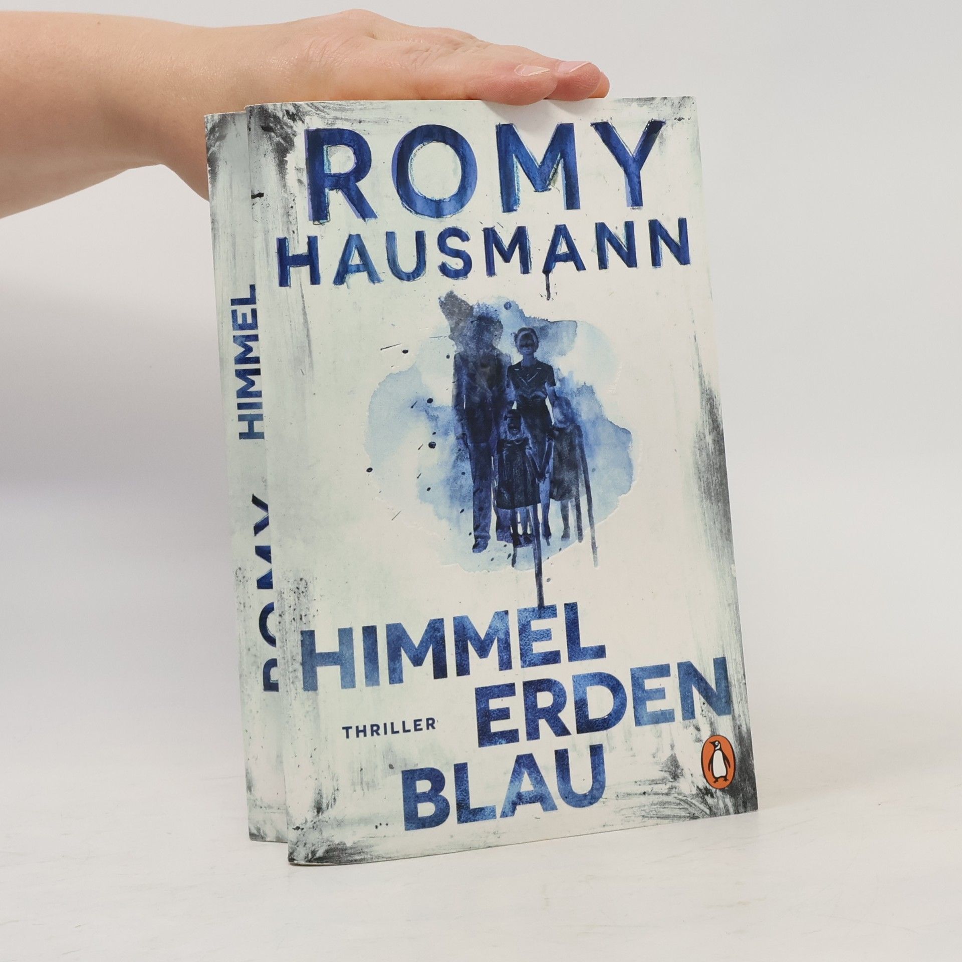 Romy Hausmann Himmelerdenblau