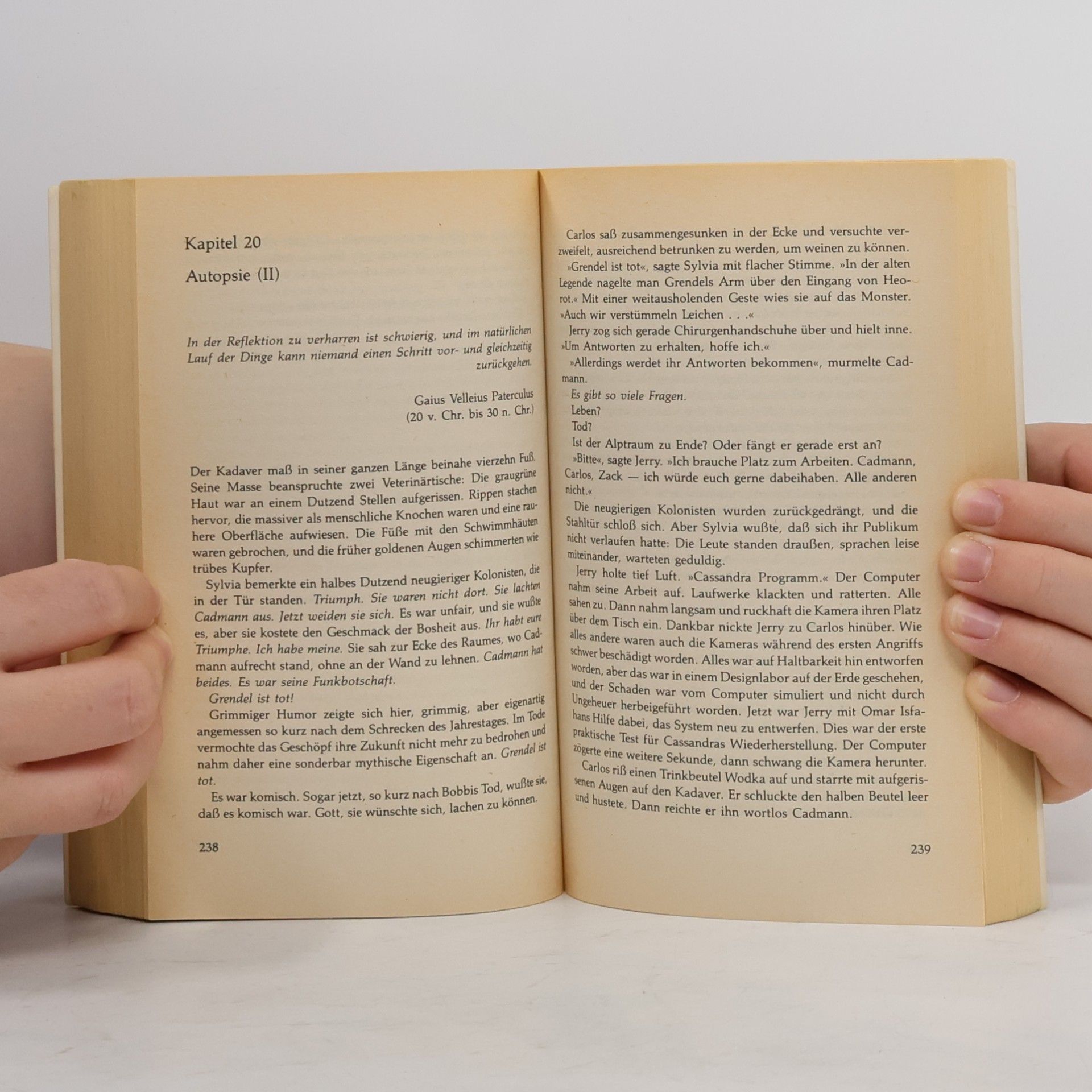 Larry Niven Der Held von Avalon