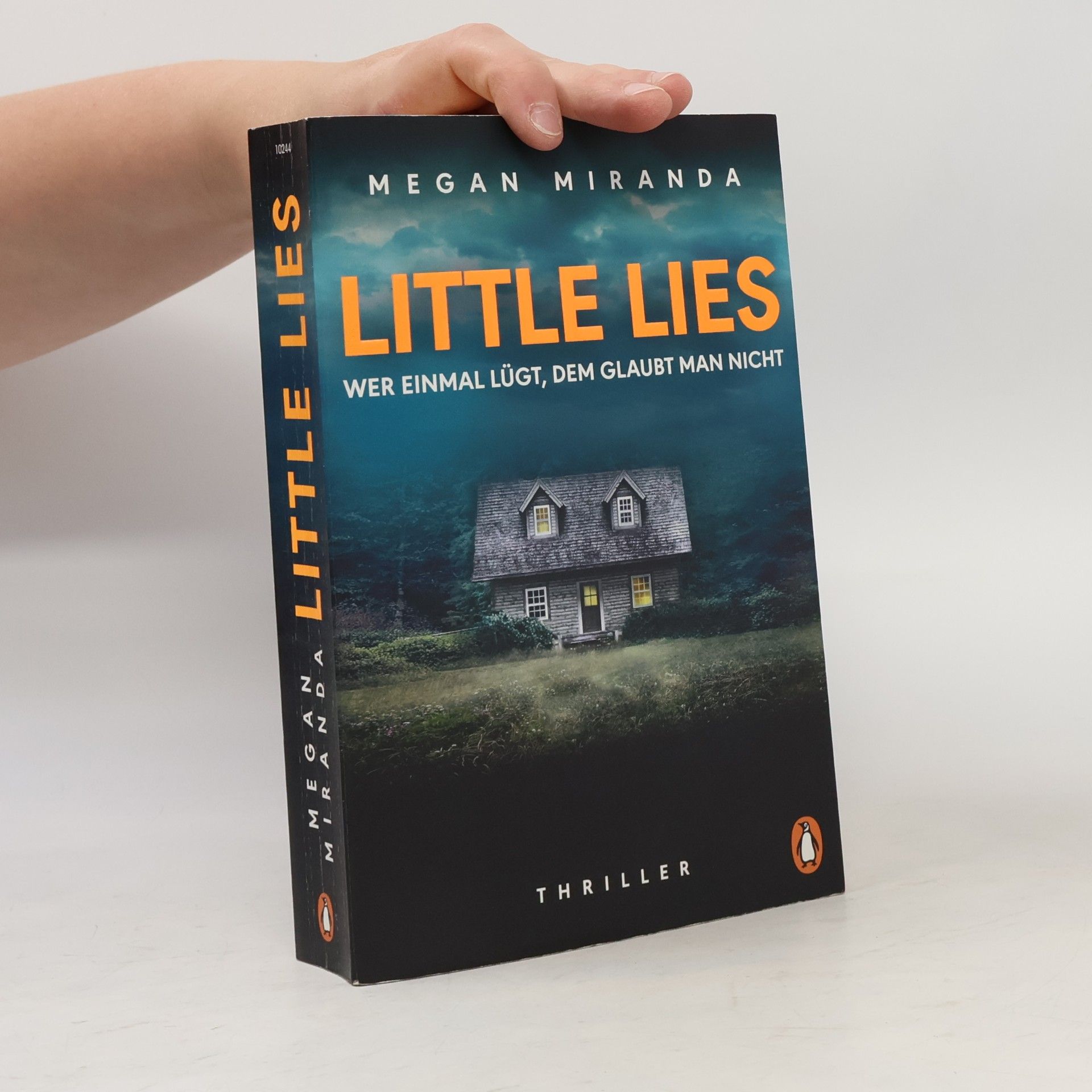 Megan Miranda LITTLE LIES – Wer einmal lügt, dem glaubt man nicht