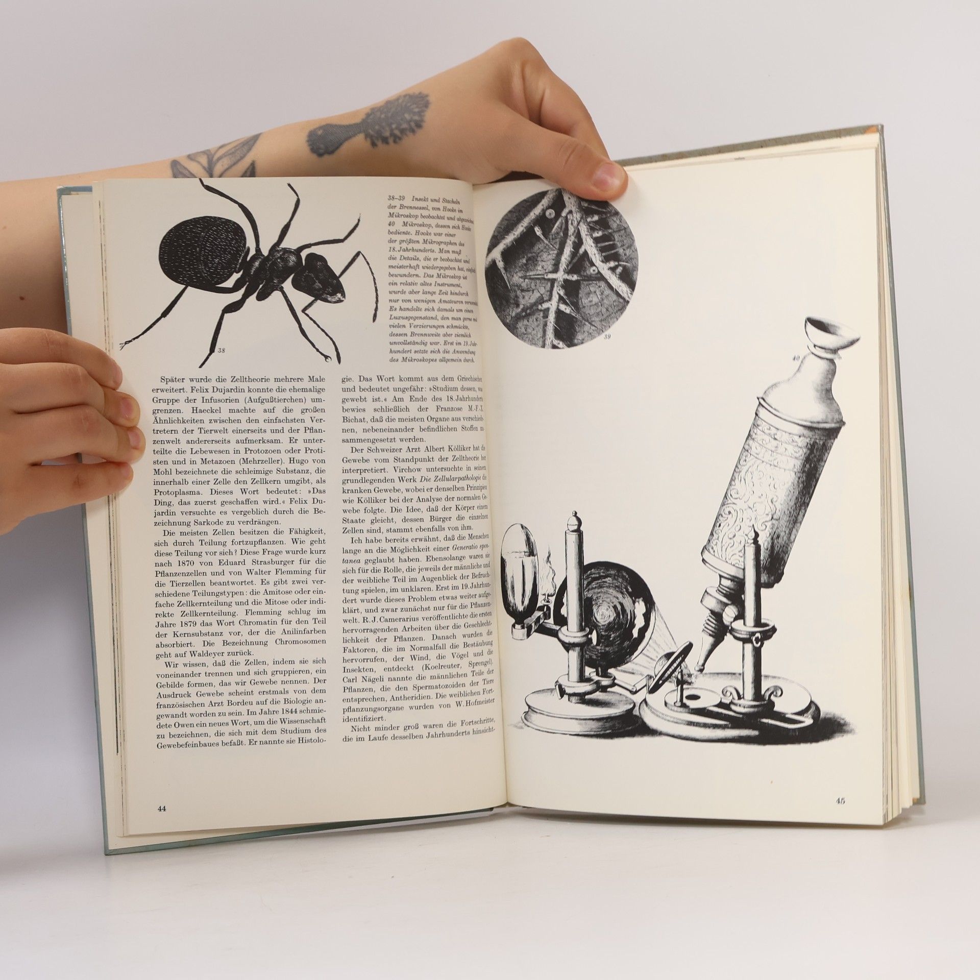 Albert Delaunay Geschichte der Biologie