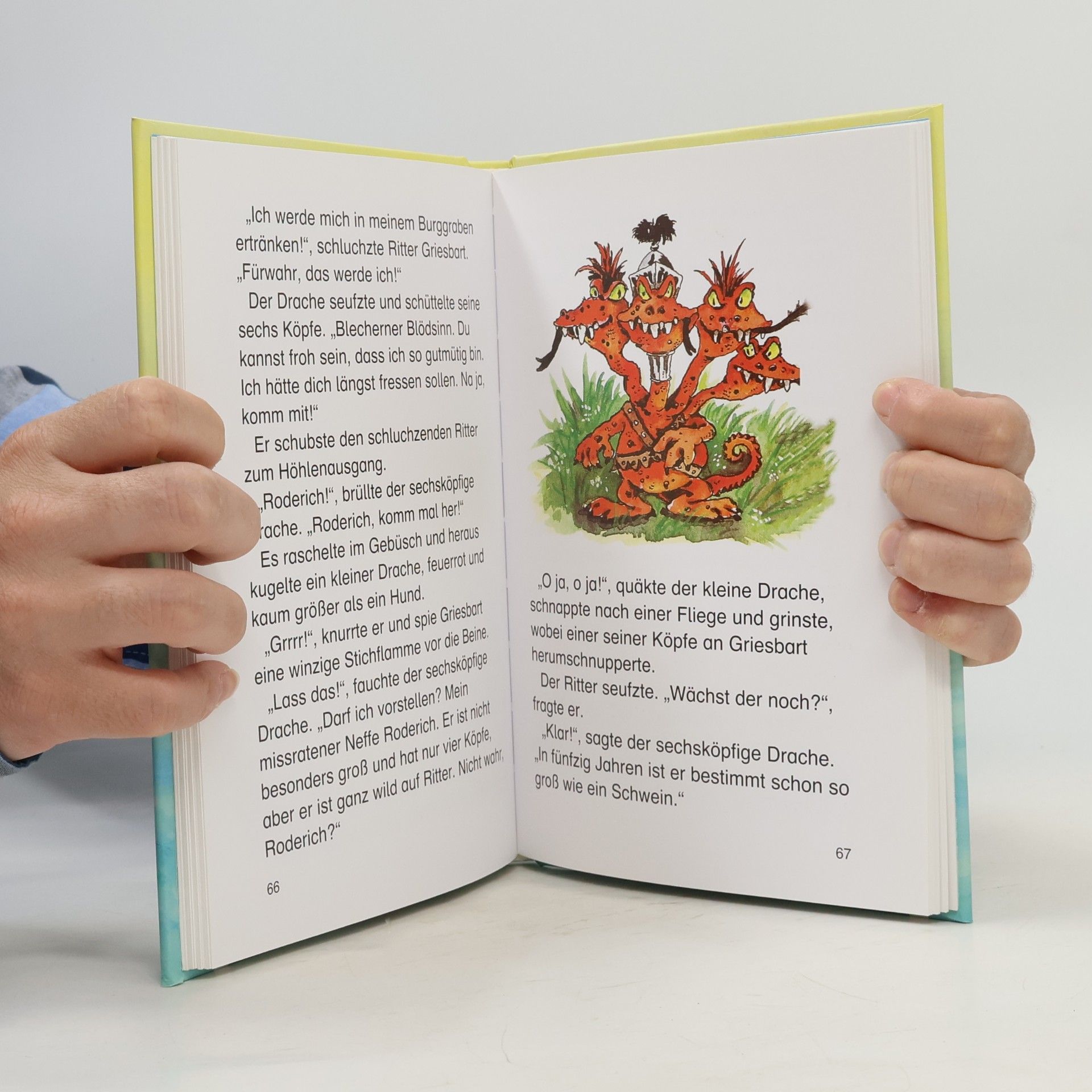 Autorenkollektiv Die schönsten Leselöwen Abenteuergeschichten