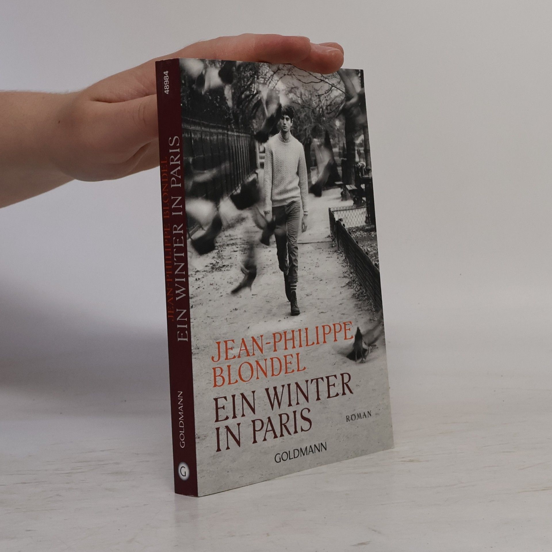 Jean-Philippe Blondel Ein Winter in Paris