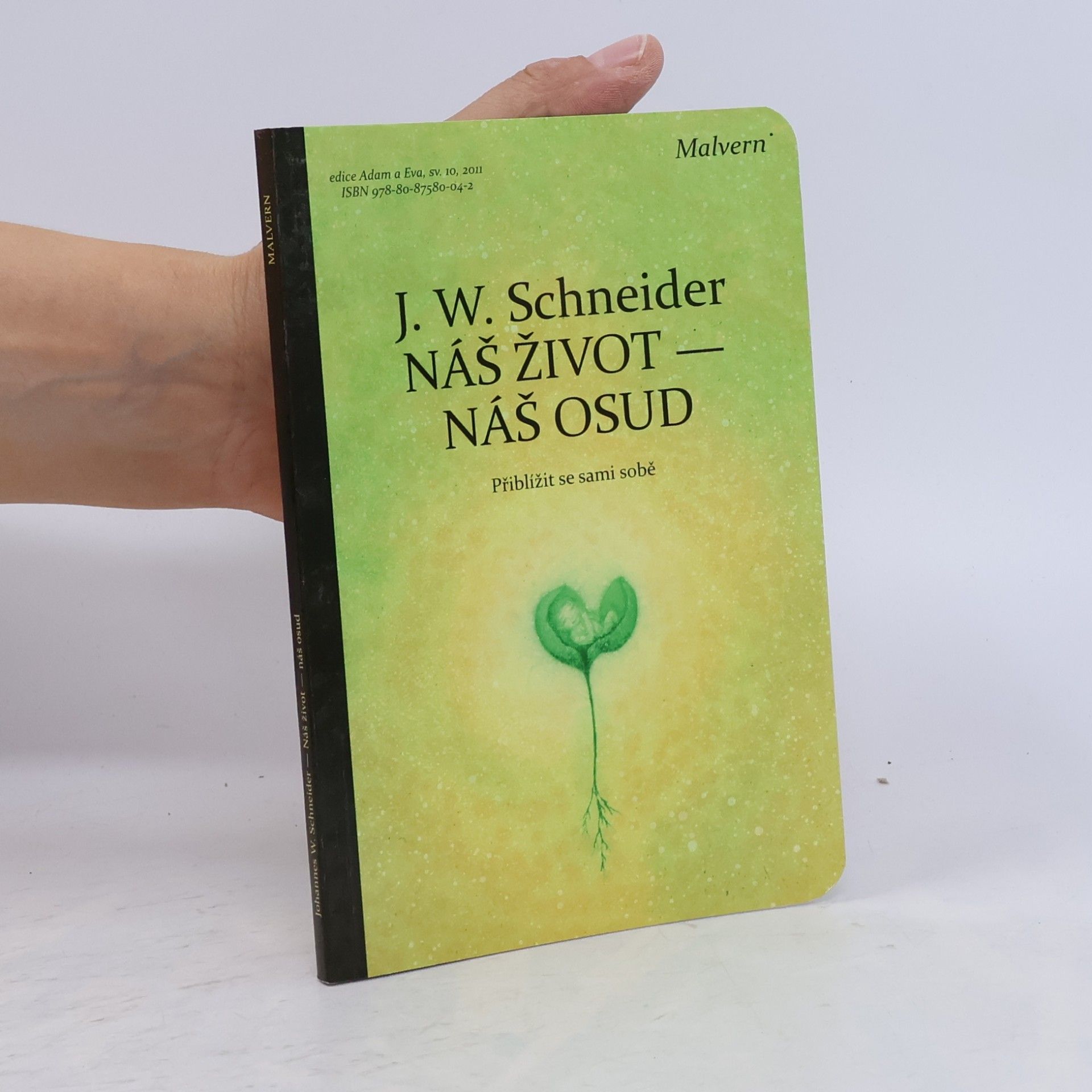 Johannes W. Schneider Náš život - náš osud