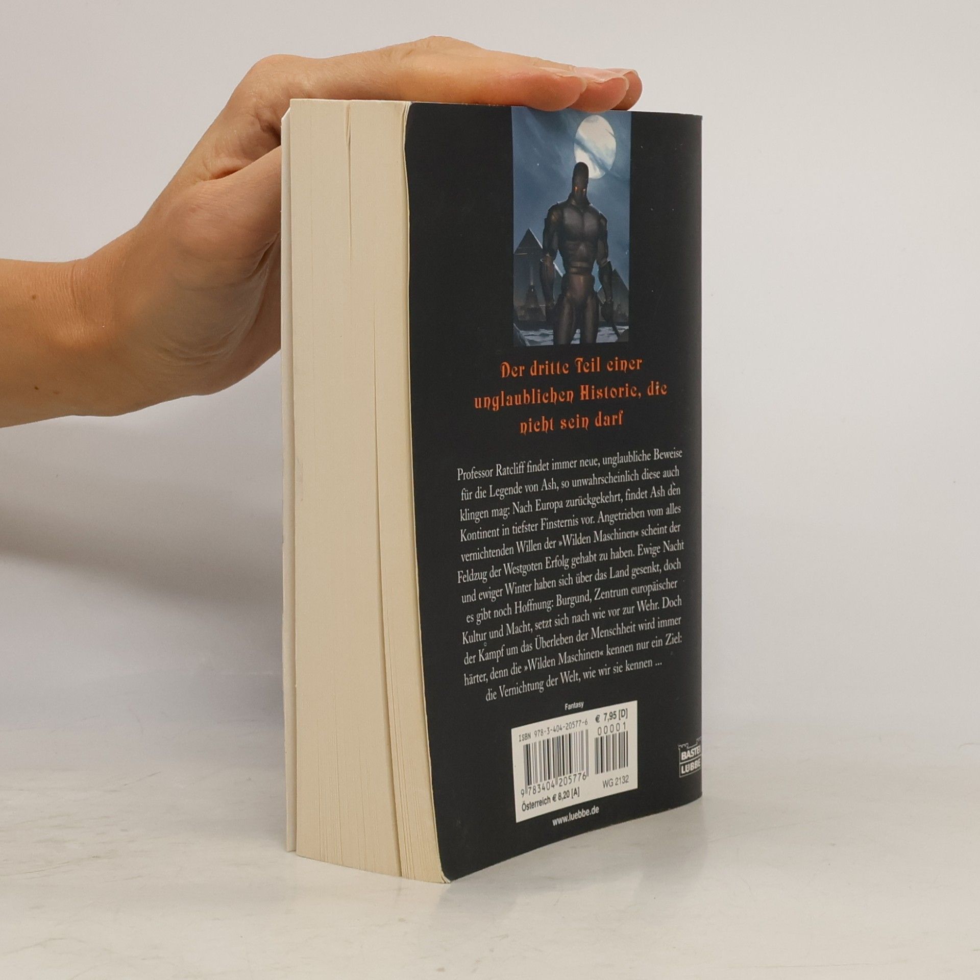 Mary Gentle Der Steinerne Golem. Die Legende von Ash