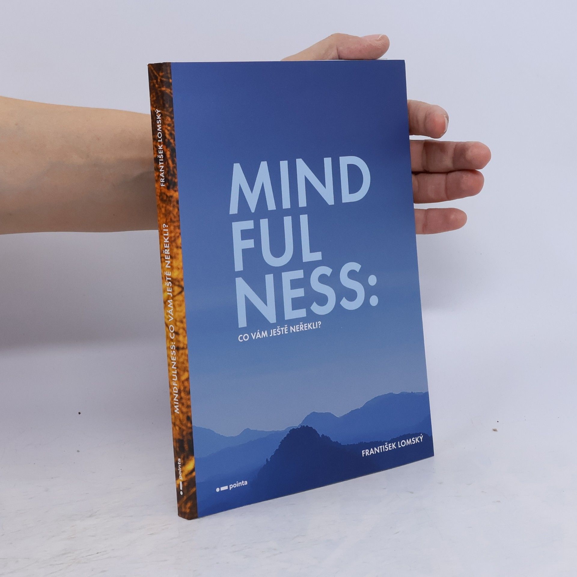 František Lomský Mindfulness : co vám ještě neřekli?