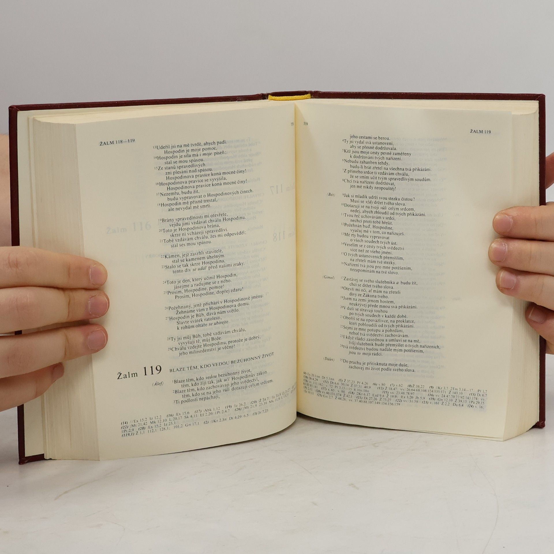 Autorenkollektiv Bible