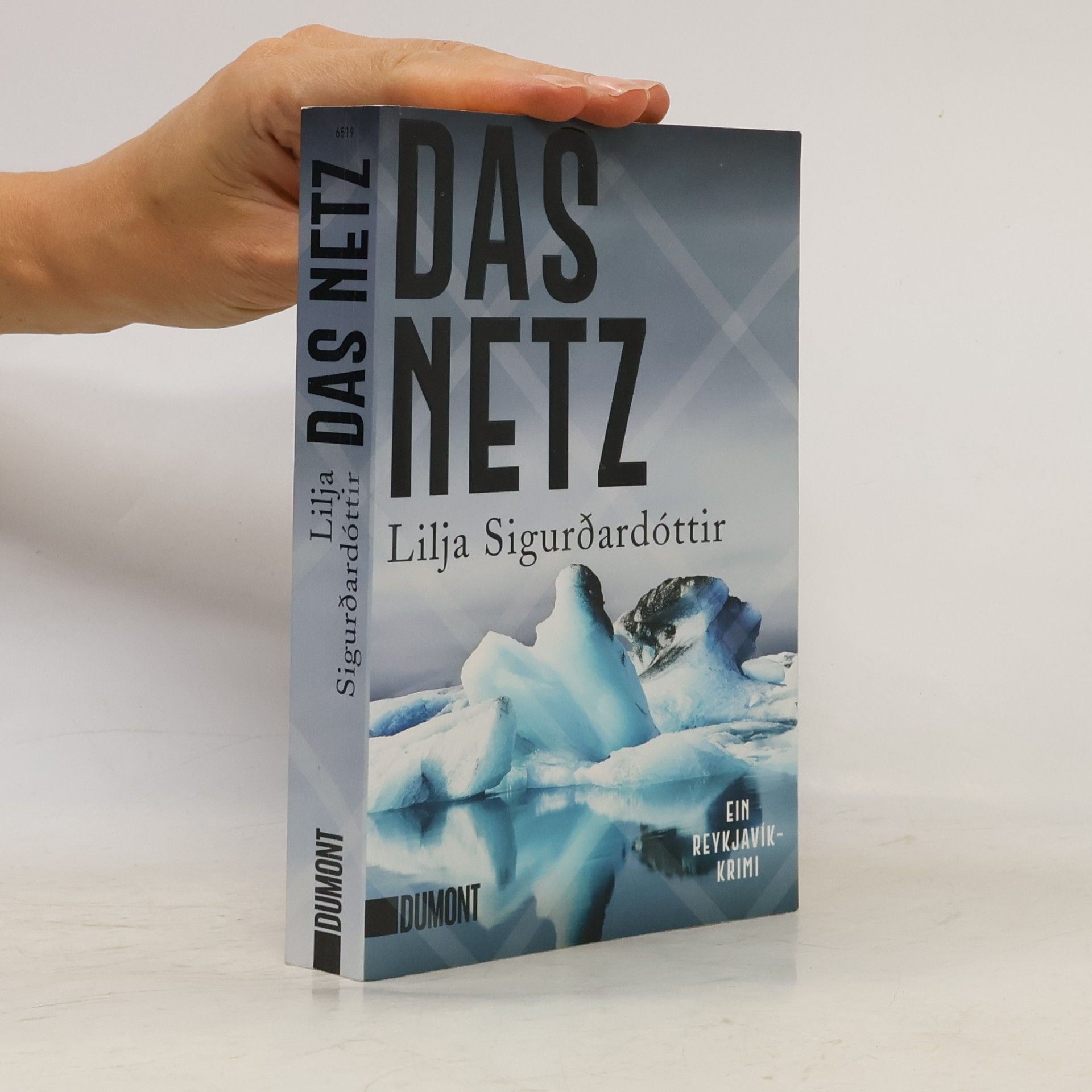 Lilja Sigurðardóttir Das Netz