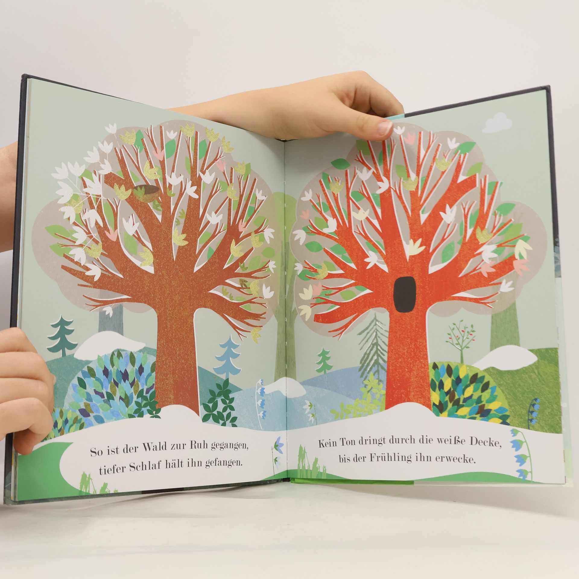 Britta Teckentrup Der Baum der Jahreszeiten