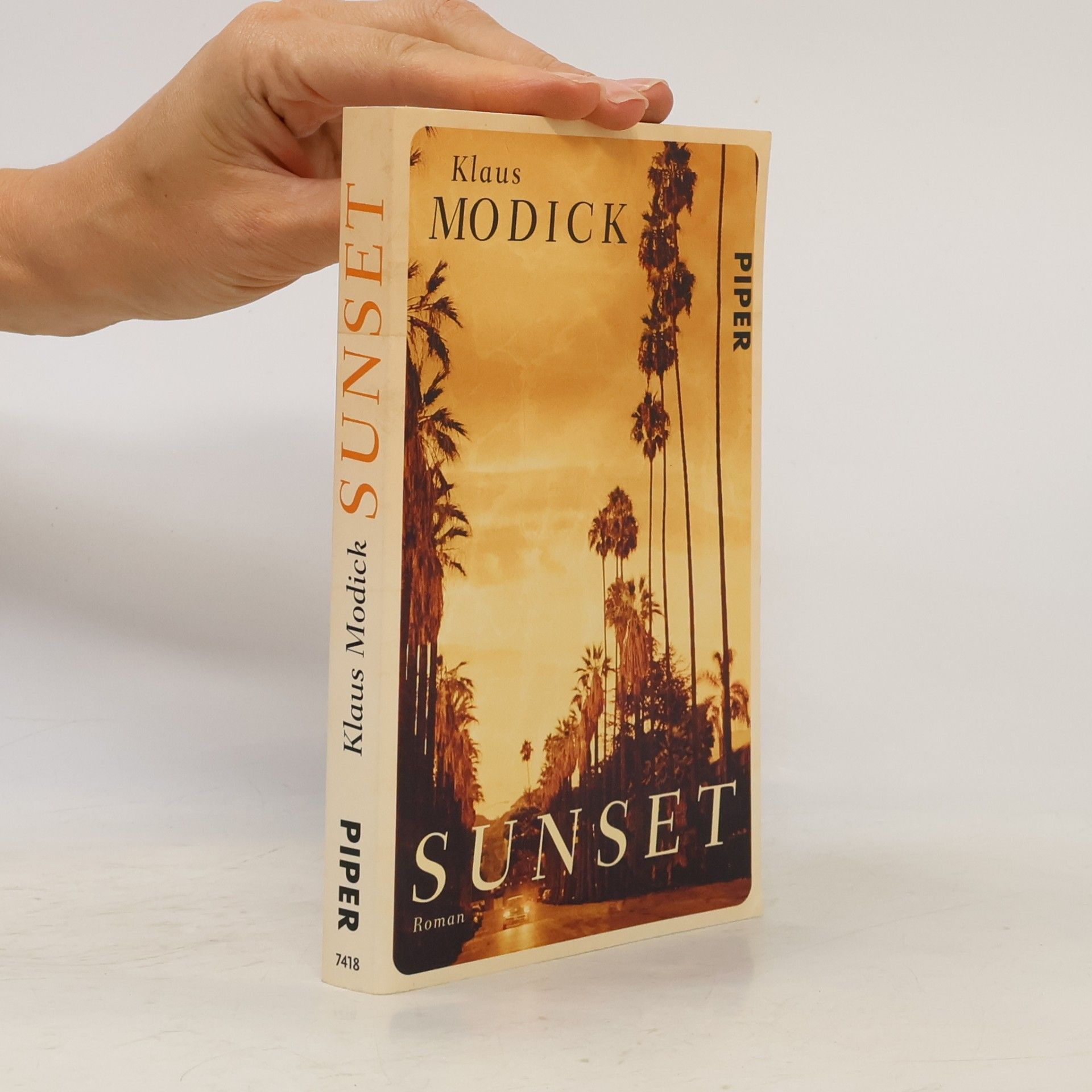 Klaus Modick Sunset