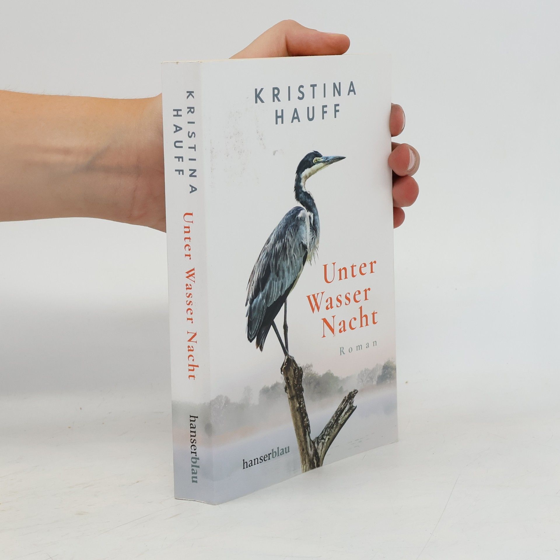 Kristina Hauff Unter Wasser Nacht