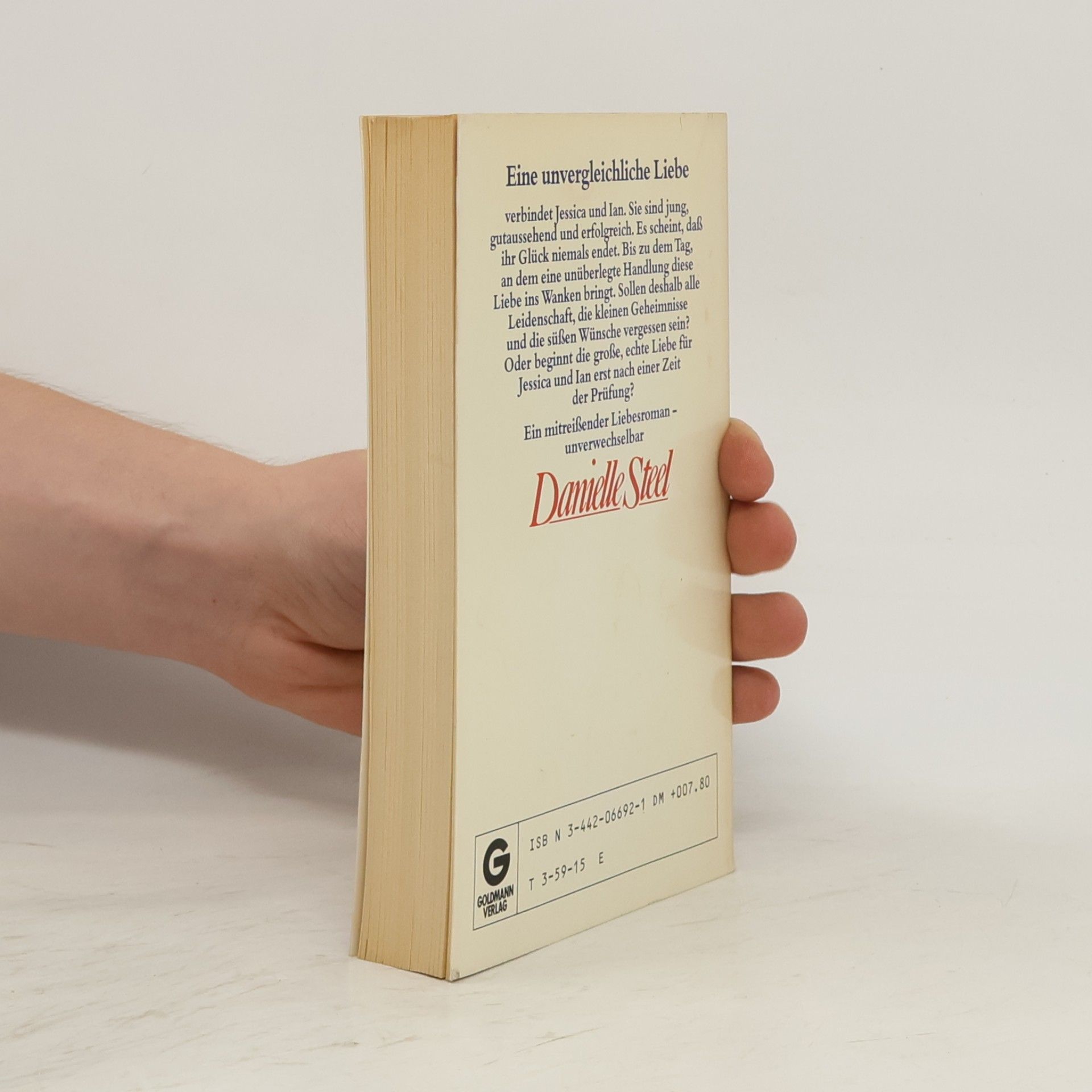 Danielle Steel Liebe zählt keine Stunden