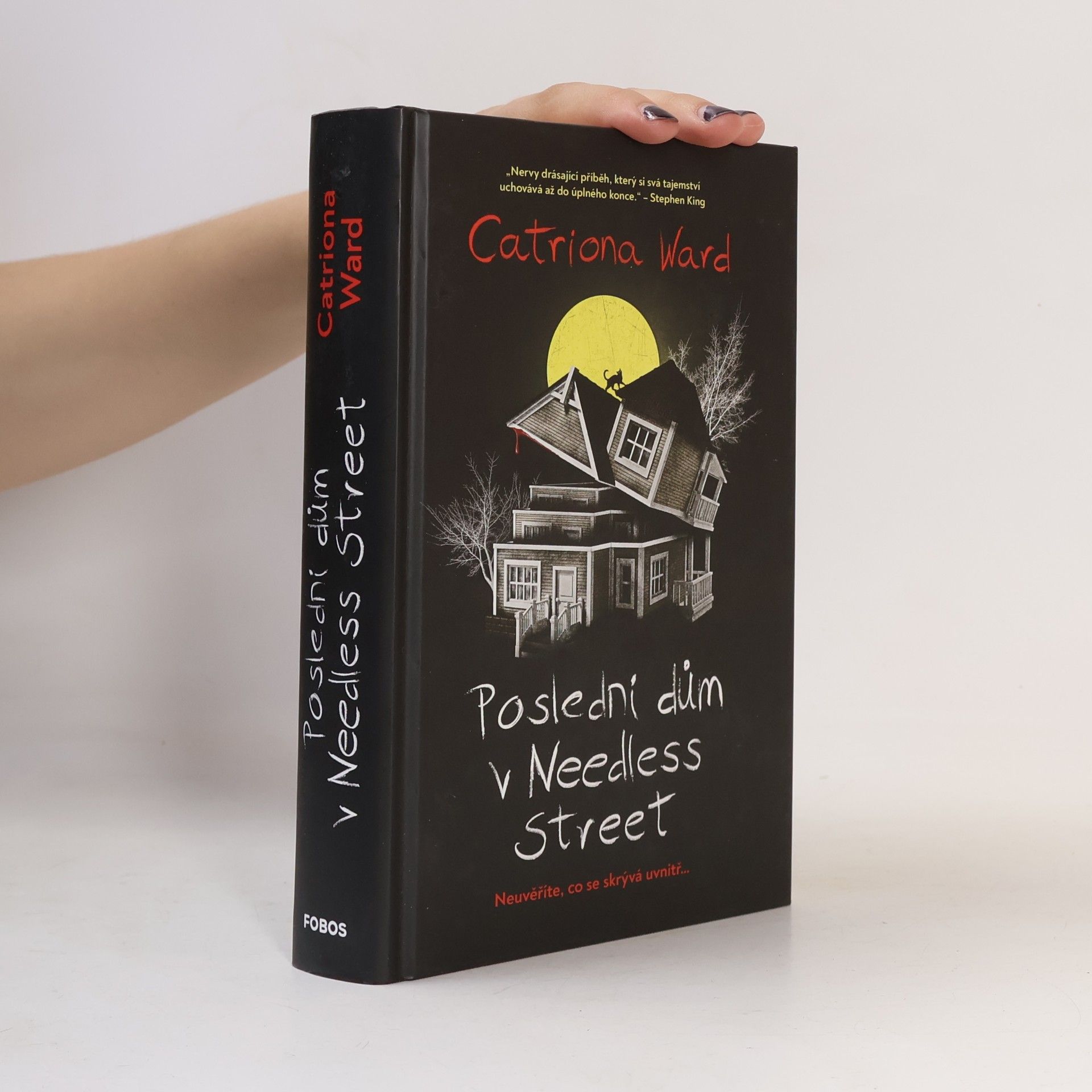 Catriona Ward Poslední dům v Needless Street