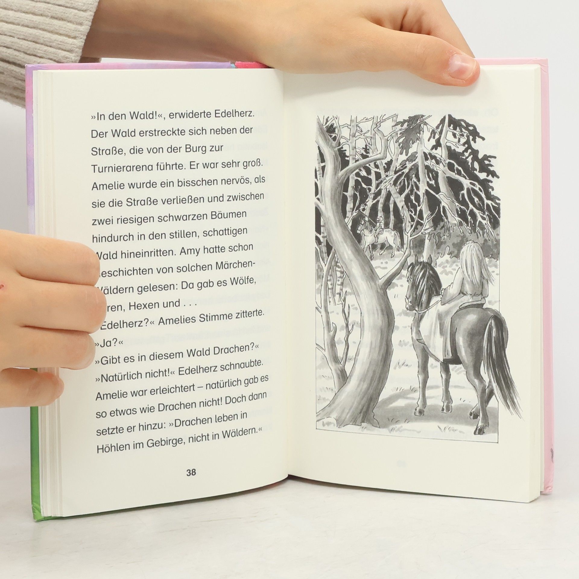 Poppy Shire Die Reise mit den Zauberponys