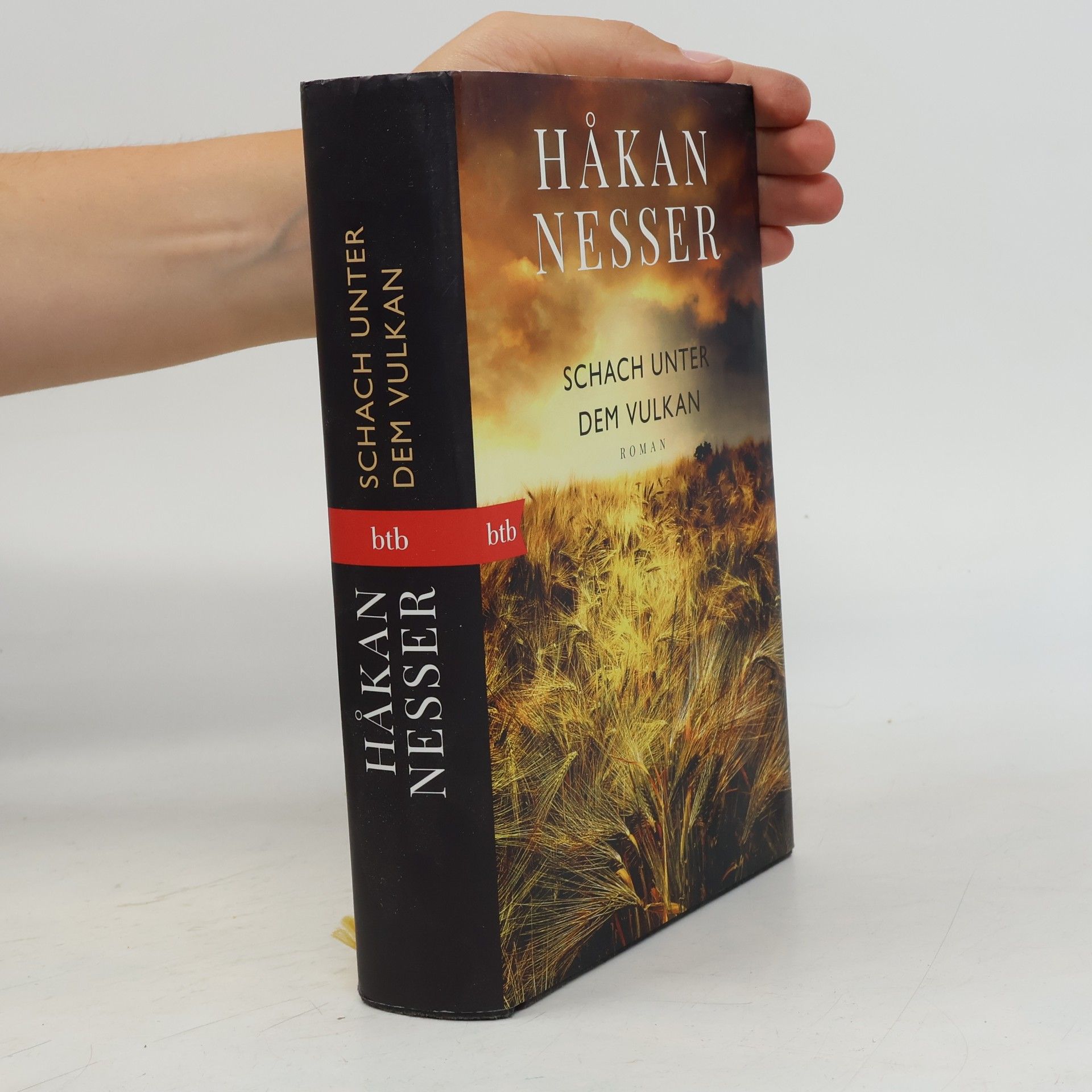 Håkan Nesser Schach unter dem Vulkan