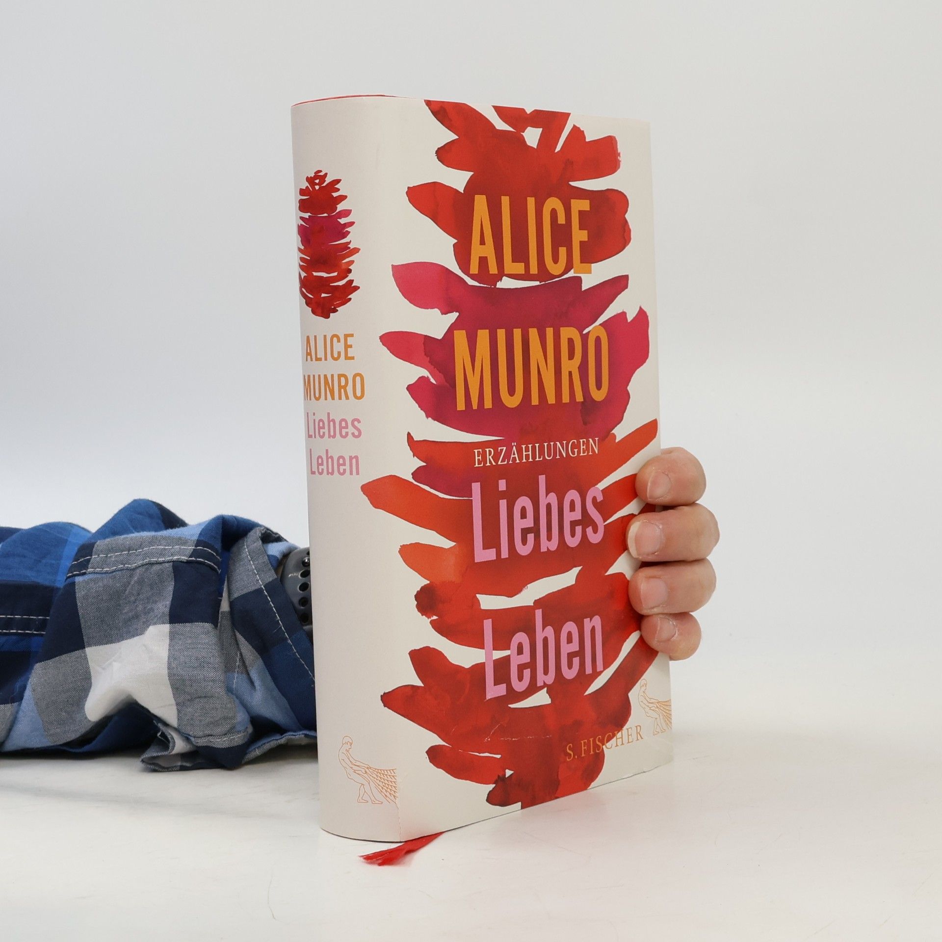 Alice Munro Liebes Leben