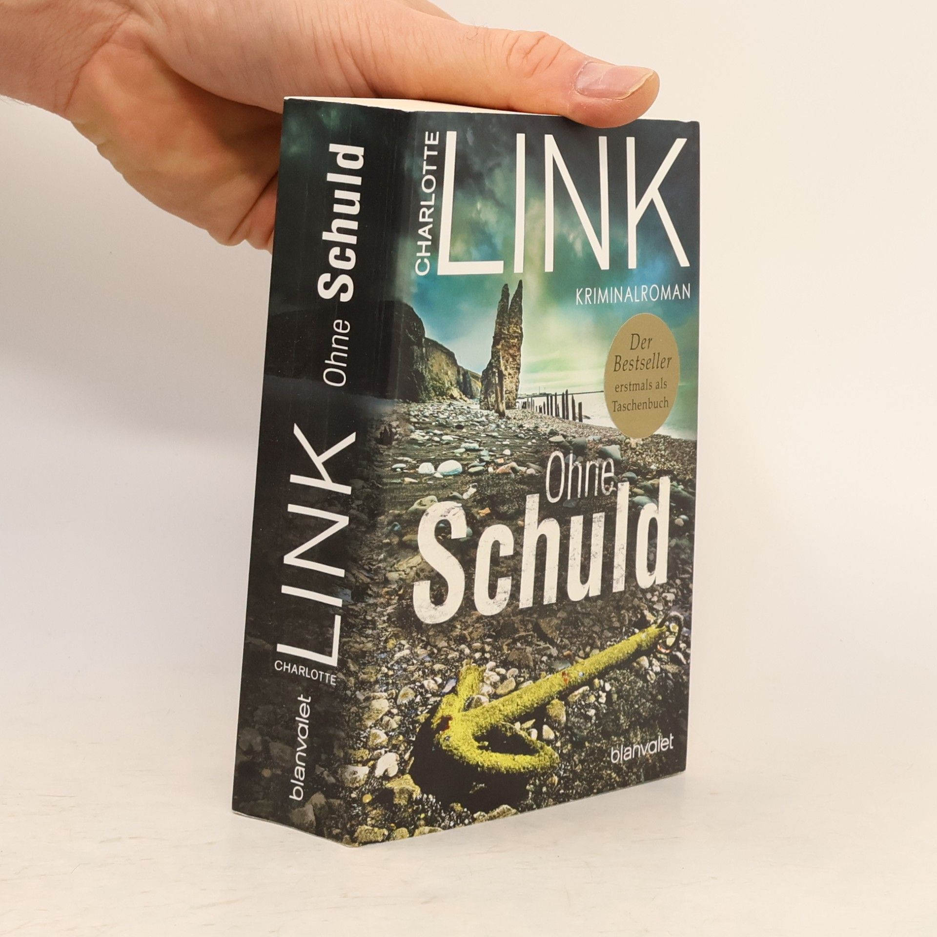 Charlotte Link Ohne Schuld
