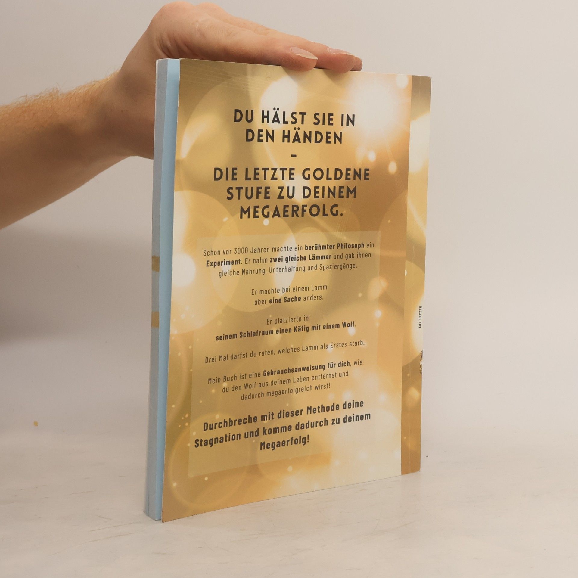 Olga Weber Die letzte goldene Stufe zu deinem Megaerfolg