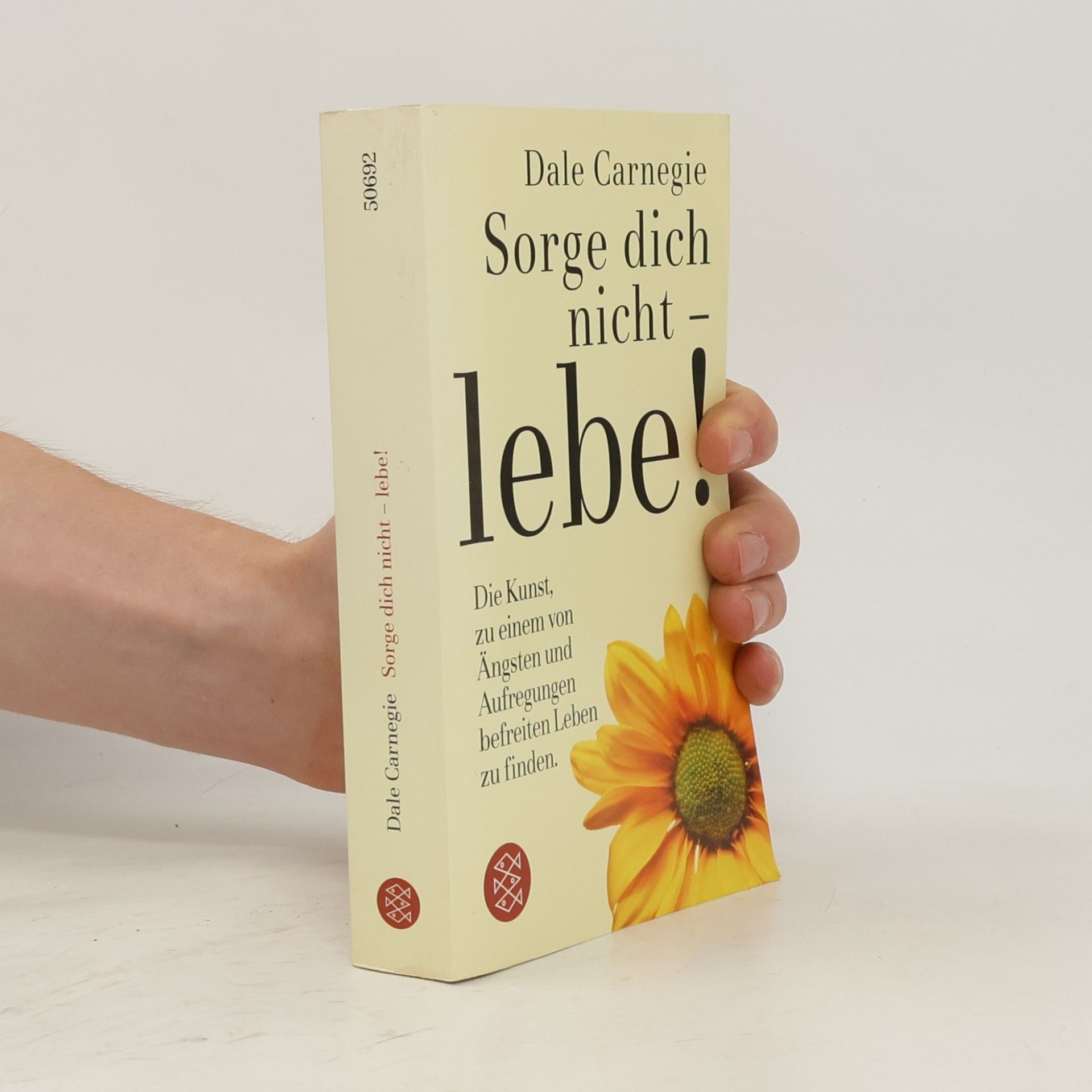 Dale Carnegie Sorge dich nicht - lebe!