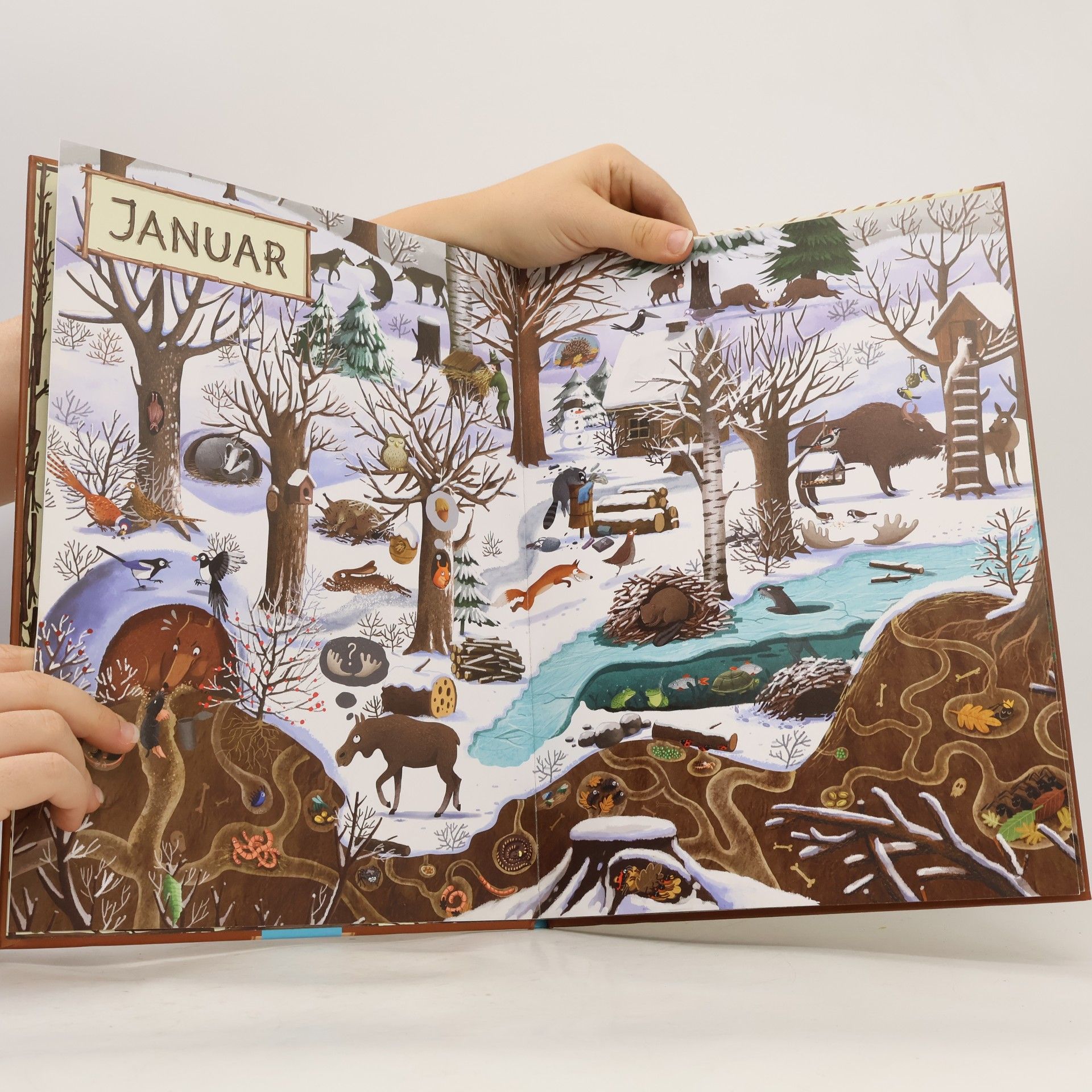 Emilia Dziubak Ein Jahr im Wald