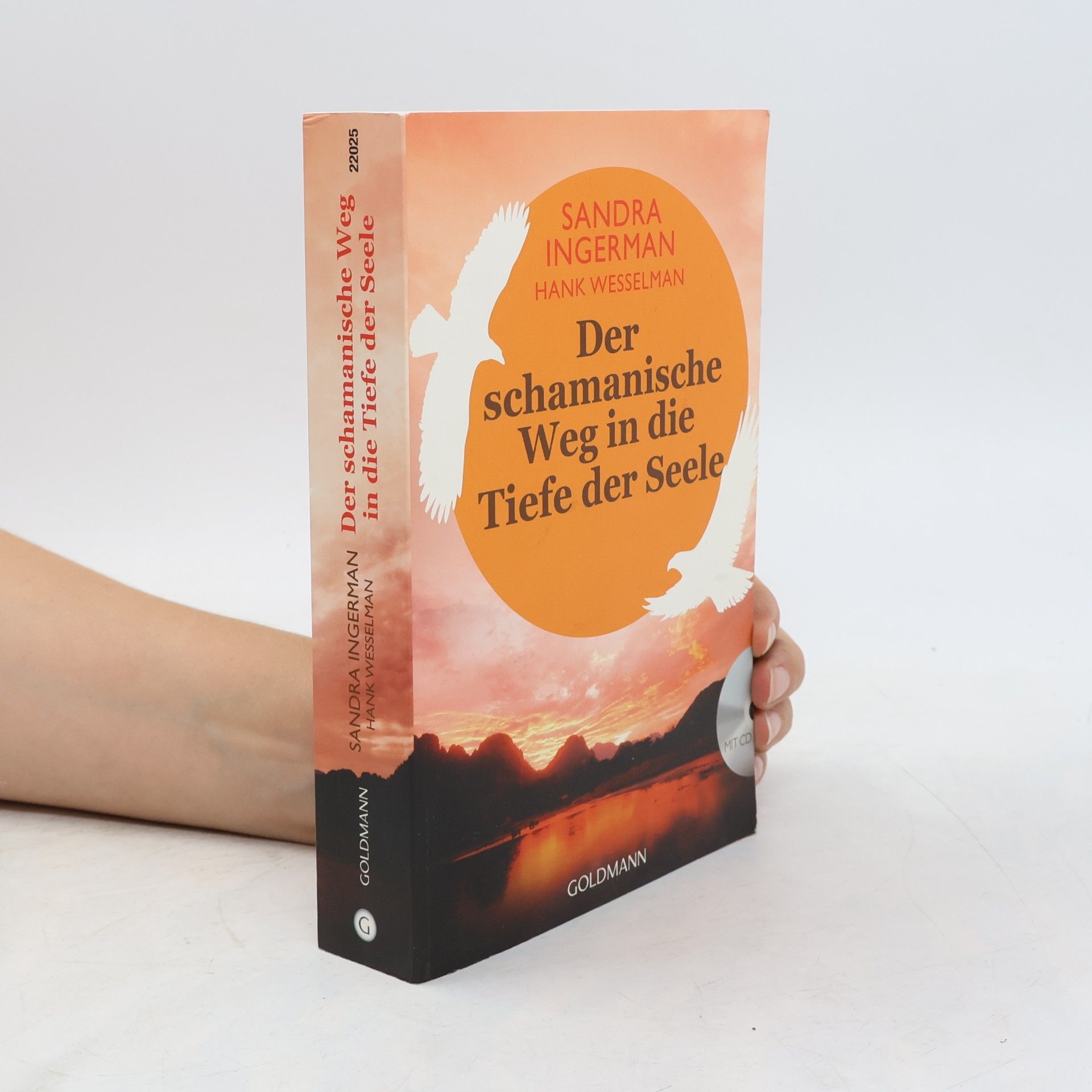 Andrea Panster Der schamanische Weg in die Tiefe der Seele