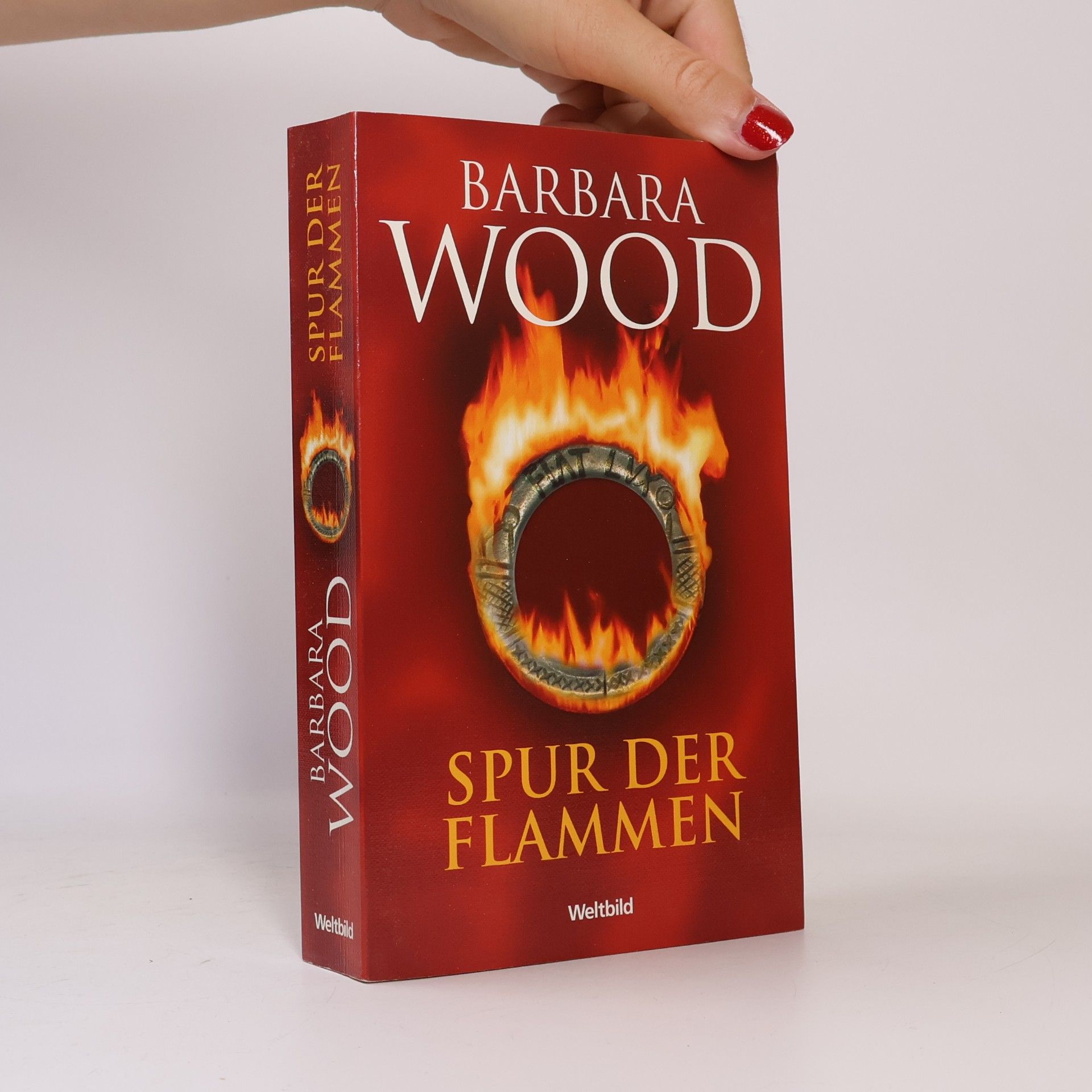 Barbara Wood Spur der Flammen