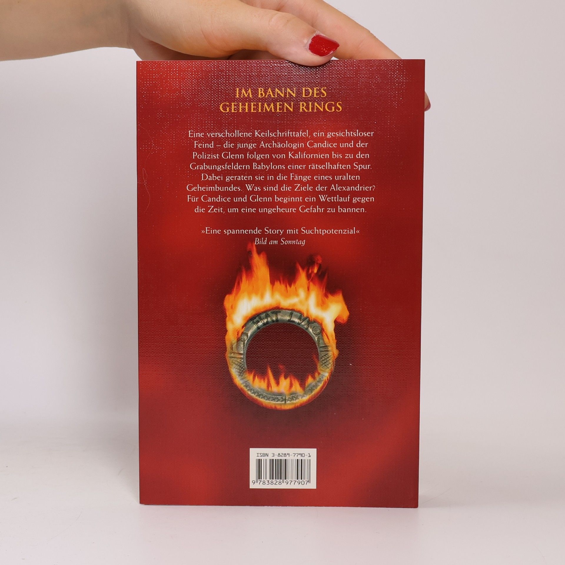 Barbara Wood Spur der Flammen