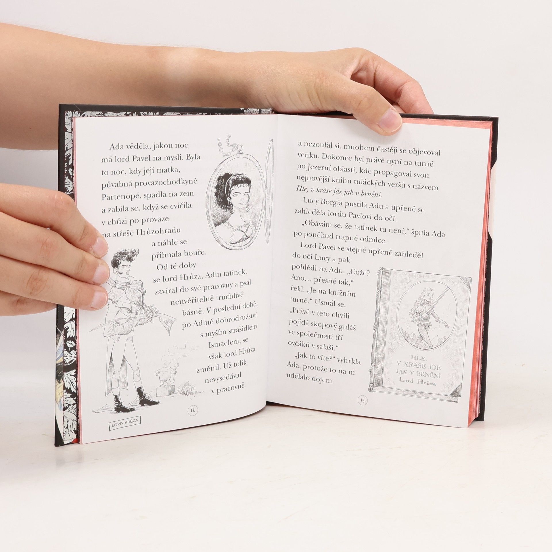 Chris Riddell Ada a hrůzostrašná slavnost
